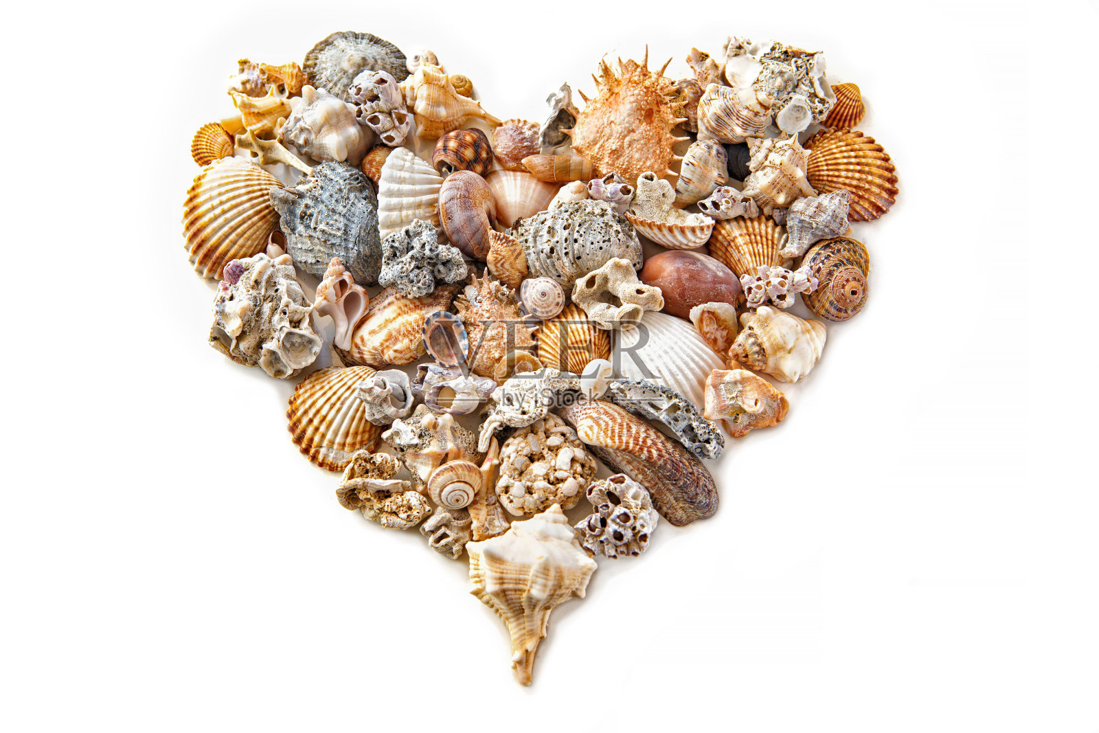 白色背景上的贝壳心形图案照片摄影图片