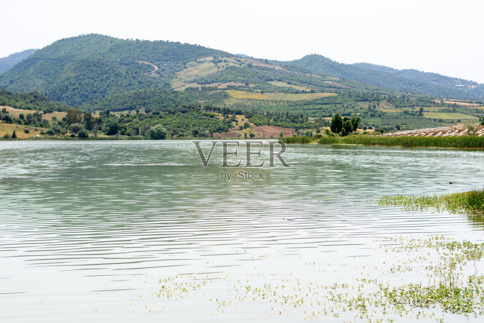 从阿尔及利亚吉耶勒的Boussiaba大坝看风景照片摄影图片