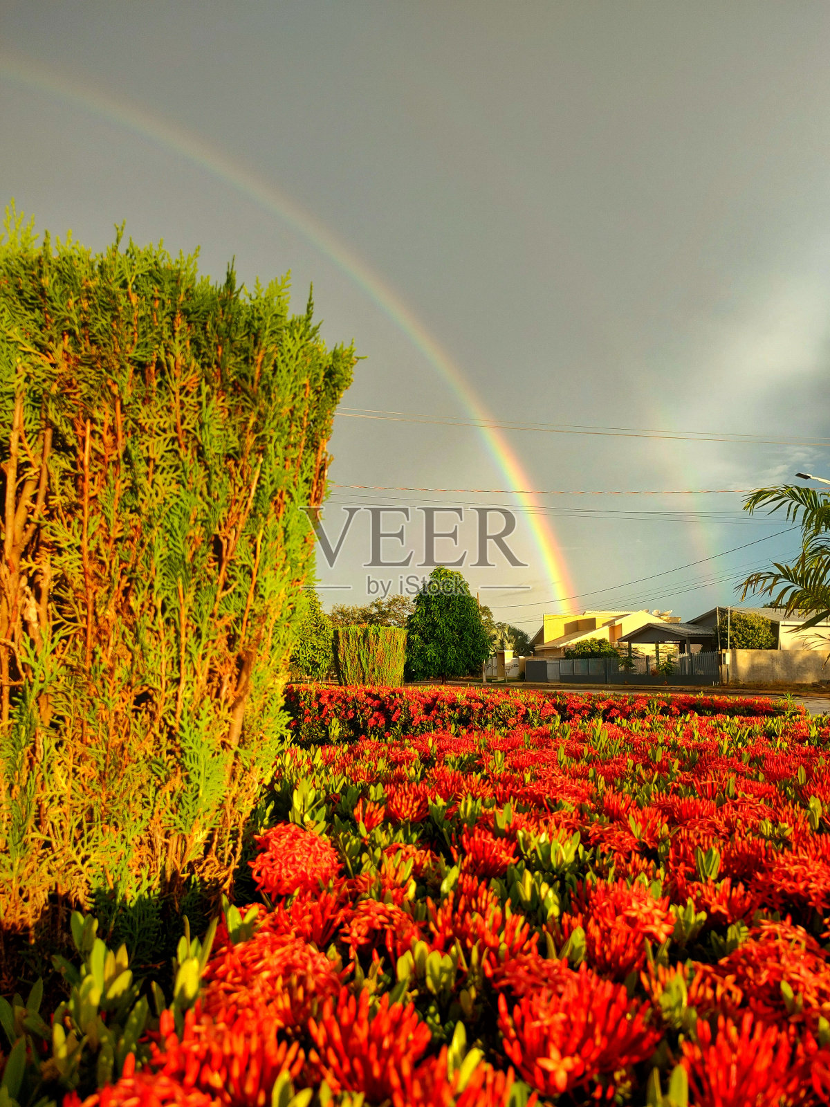 彩虹照片摄影图片