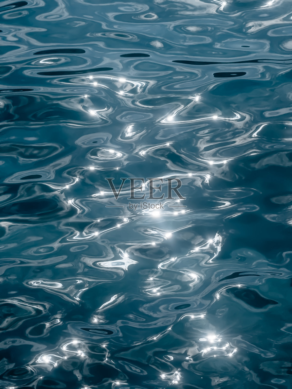 扎金索斯水母海照片摄影图片