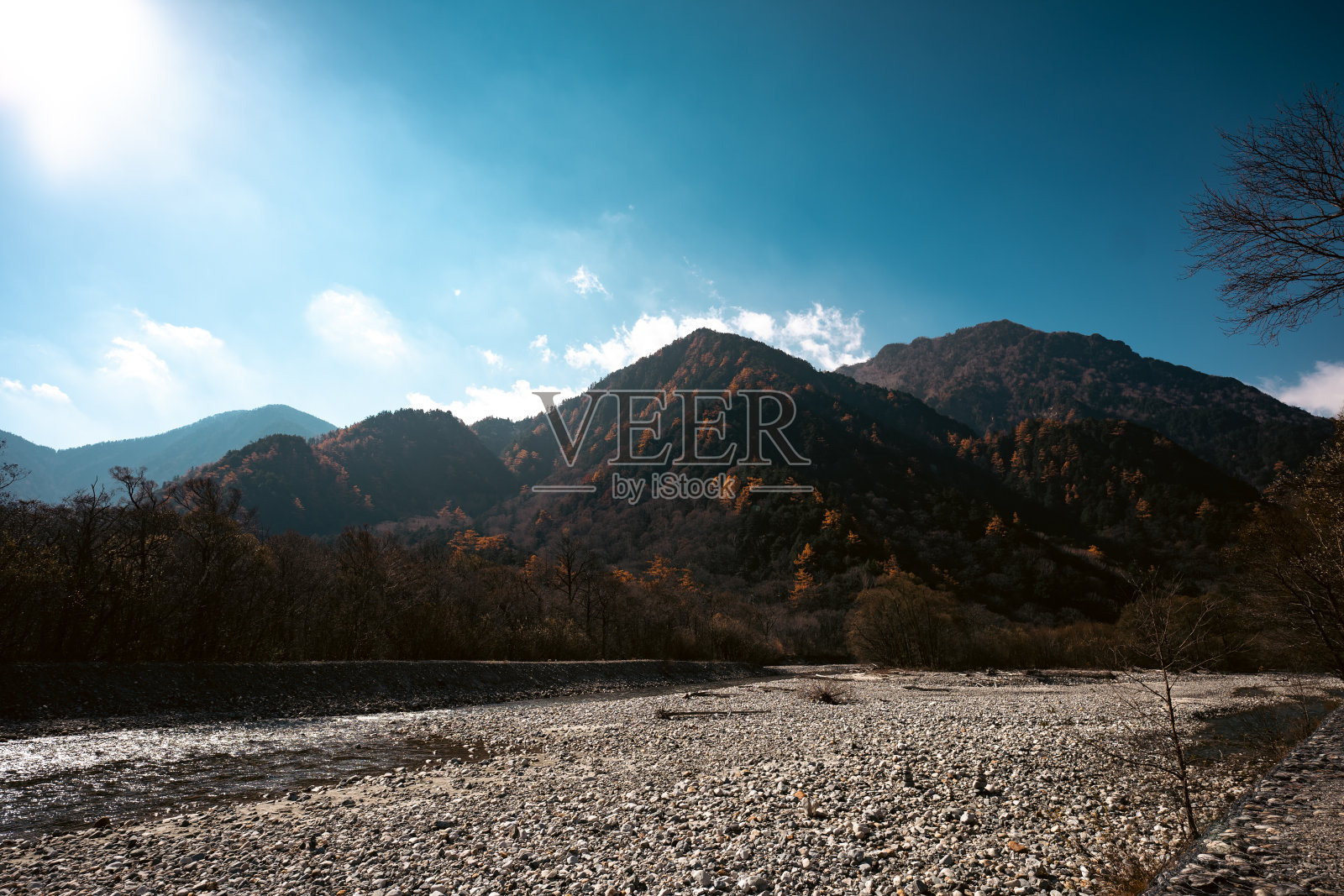 在日本体验秋天的鲜艳色彩:探索京都雄伟的森林和花园，红色，橙色和绿色枫叶对宁静天空的壮观景观照片摄影图片