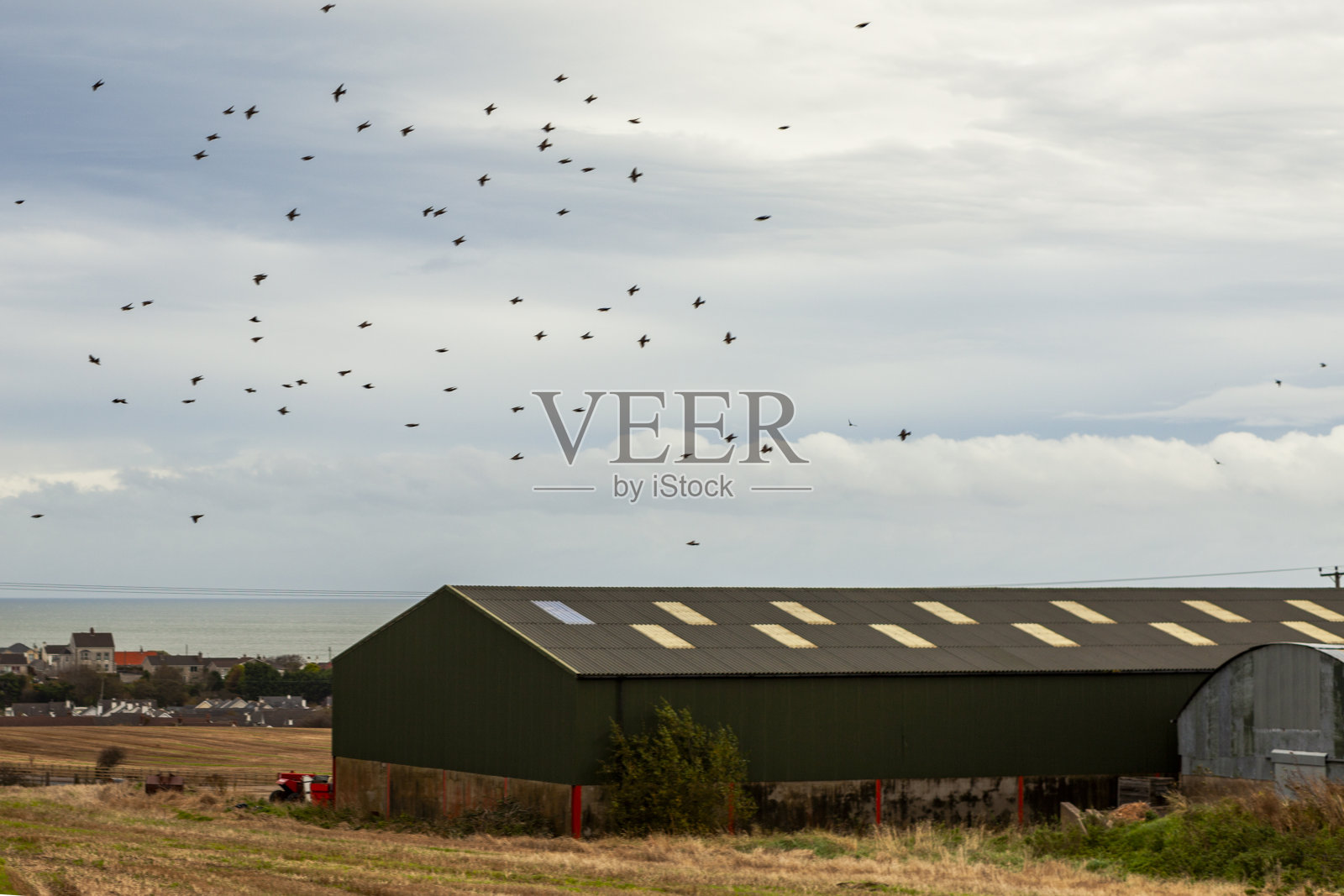 英国北爱尔兰卡斯尔洛克的穆森登神庙和下坡庄园照片摄影图片