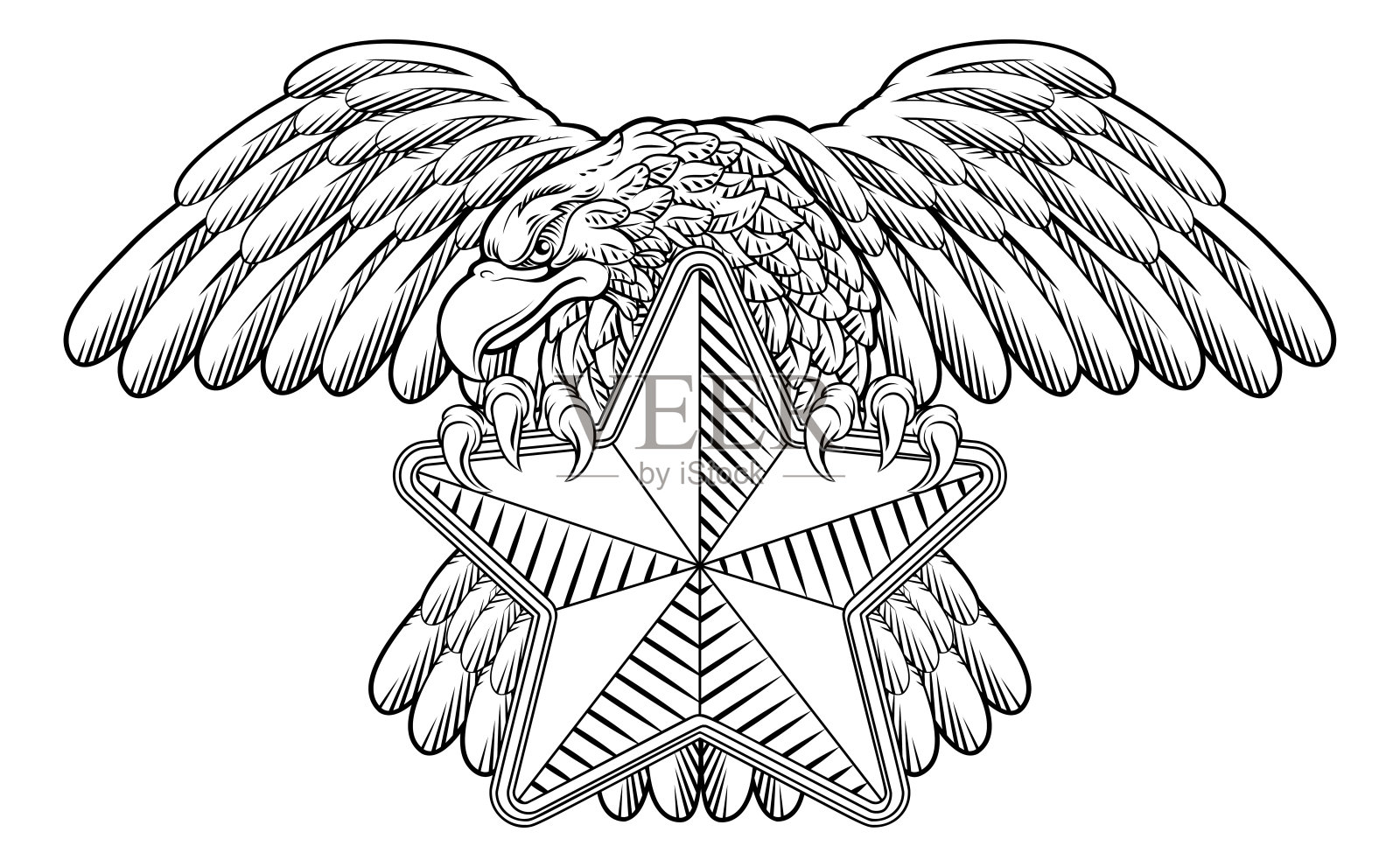 鹰星标志徽章旗帜羊皮纸设计插画图片素材