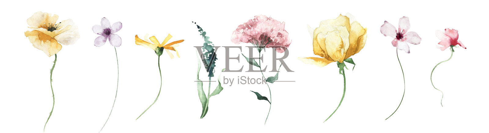 水彩画花卉剪贴画集。蓝色，粉红色，紫色和黄色的野花，树枝，树叶和细枝。插画图片素材