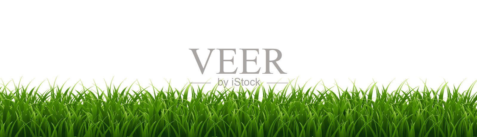 绿草边界孤立的白色背景插画图片素材