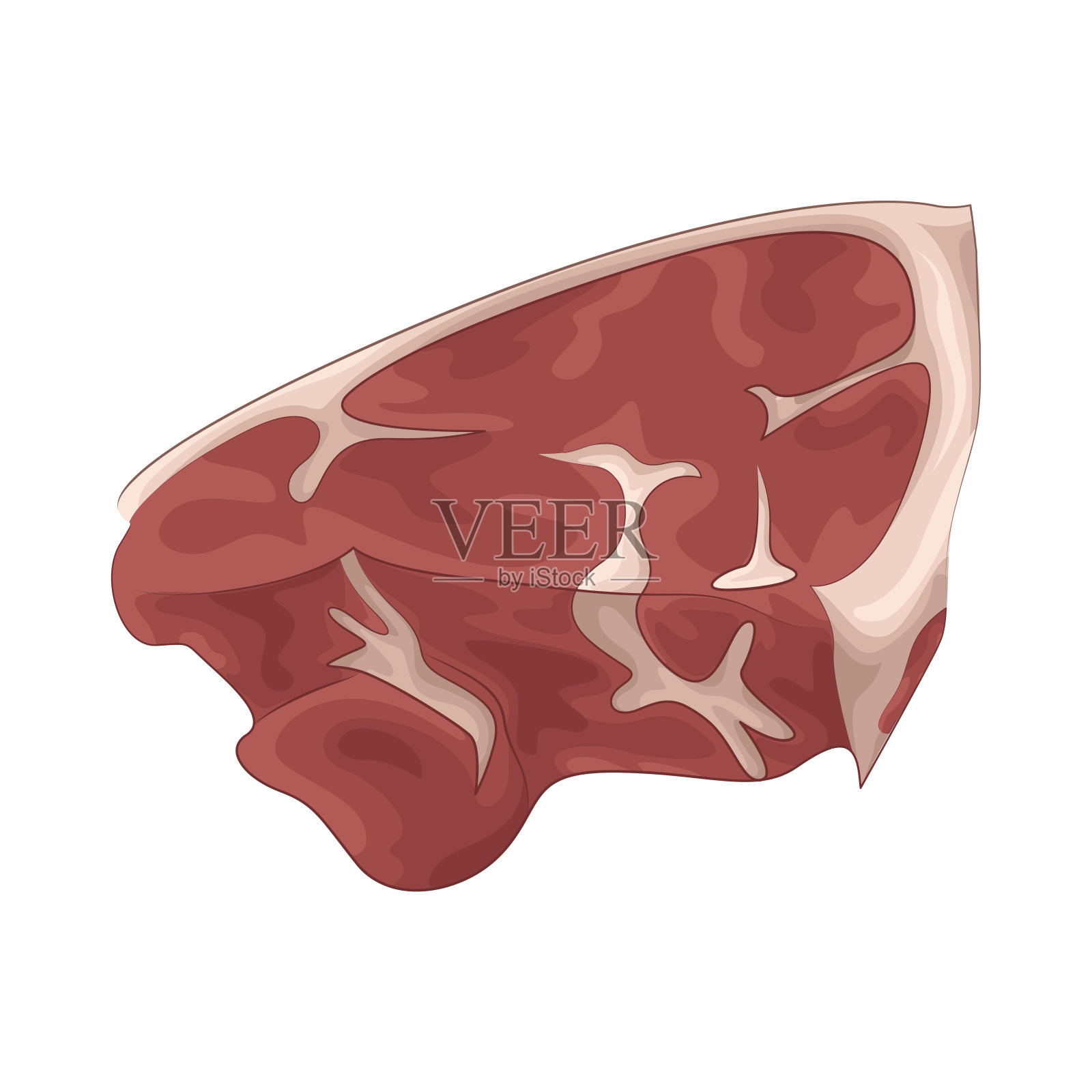 肉插画图片素材