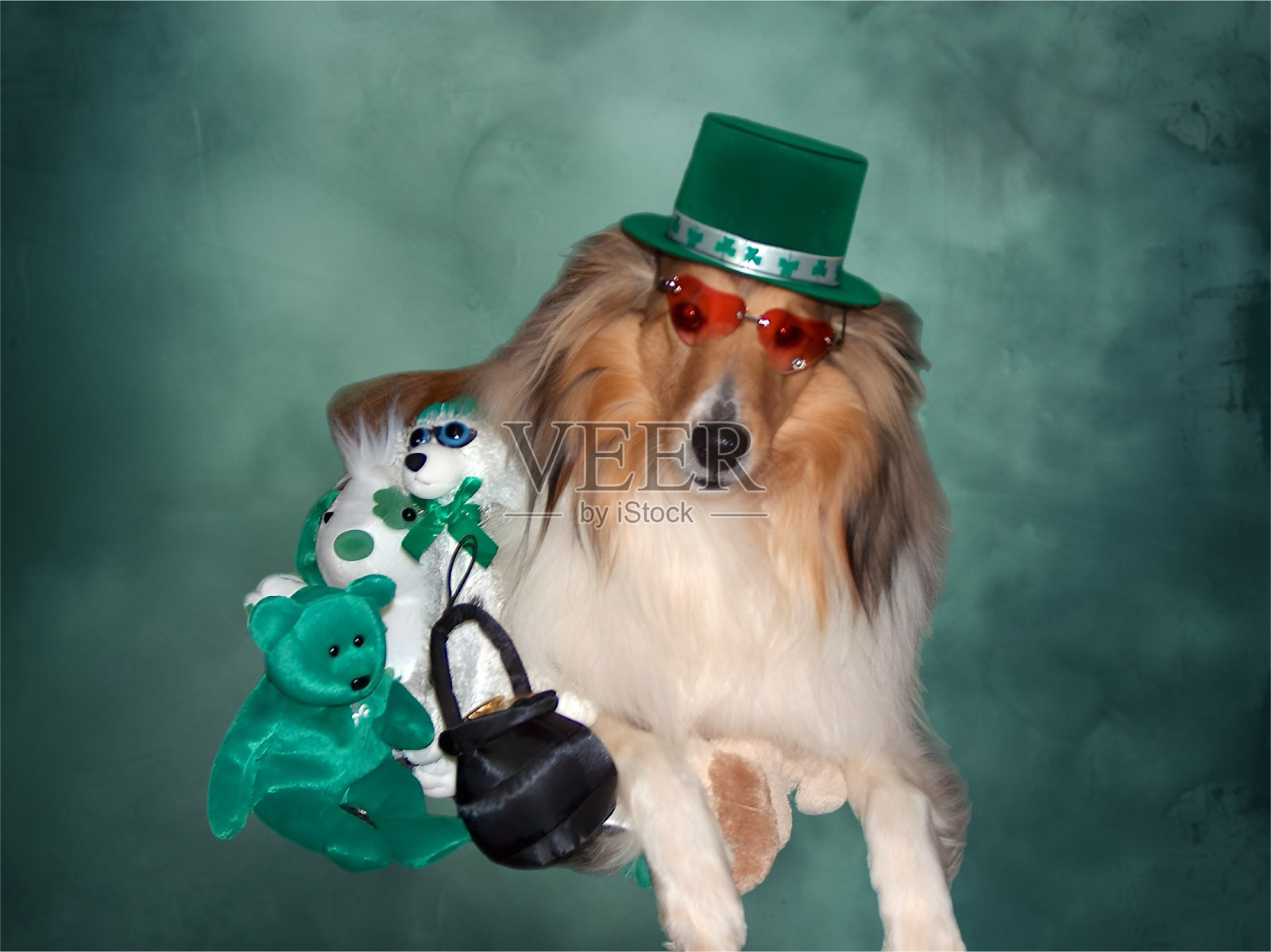 圣帕特里克节的聚会在哪里举行?照片摄影图片