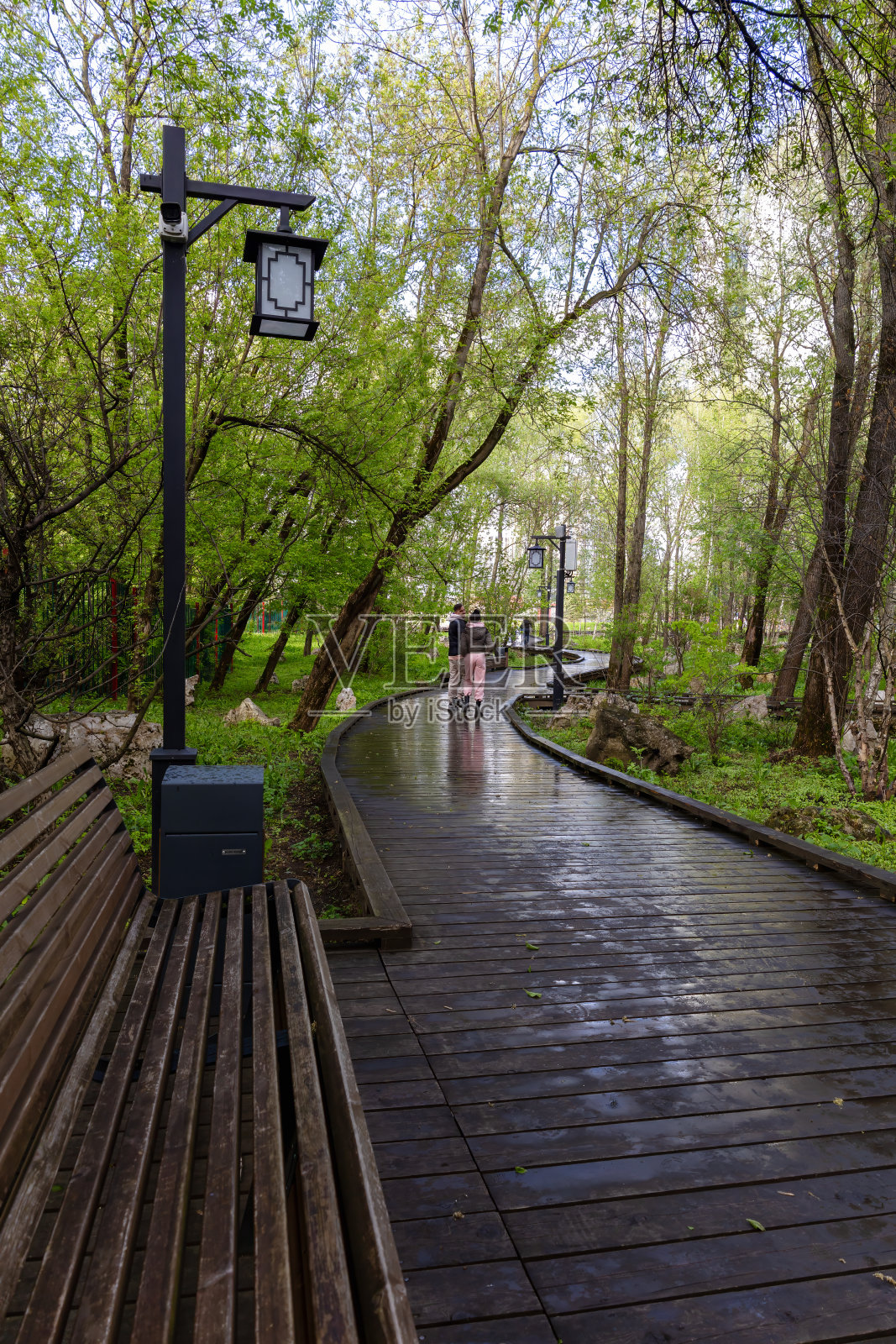 雨后,一对年轻夫妇在公园散步照片摄影图片