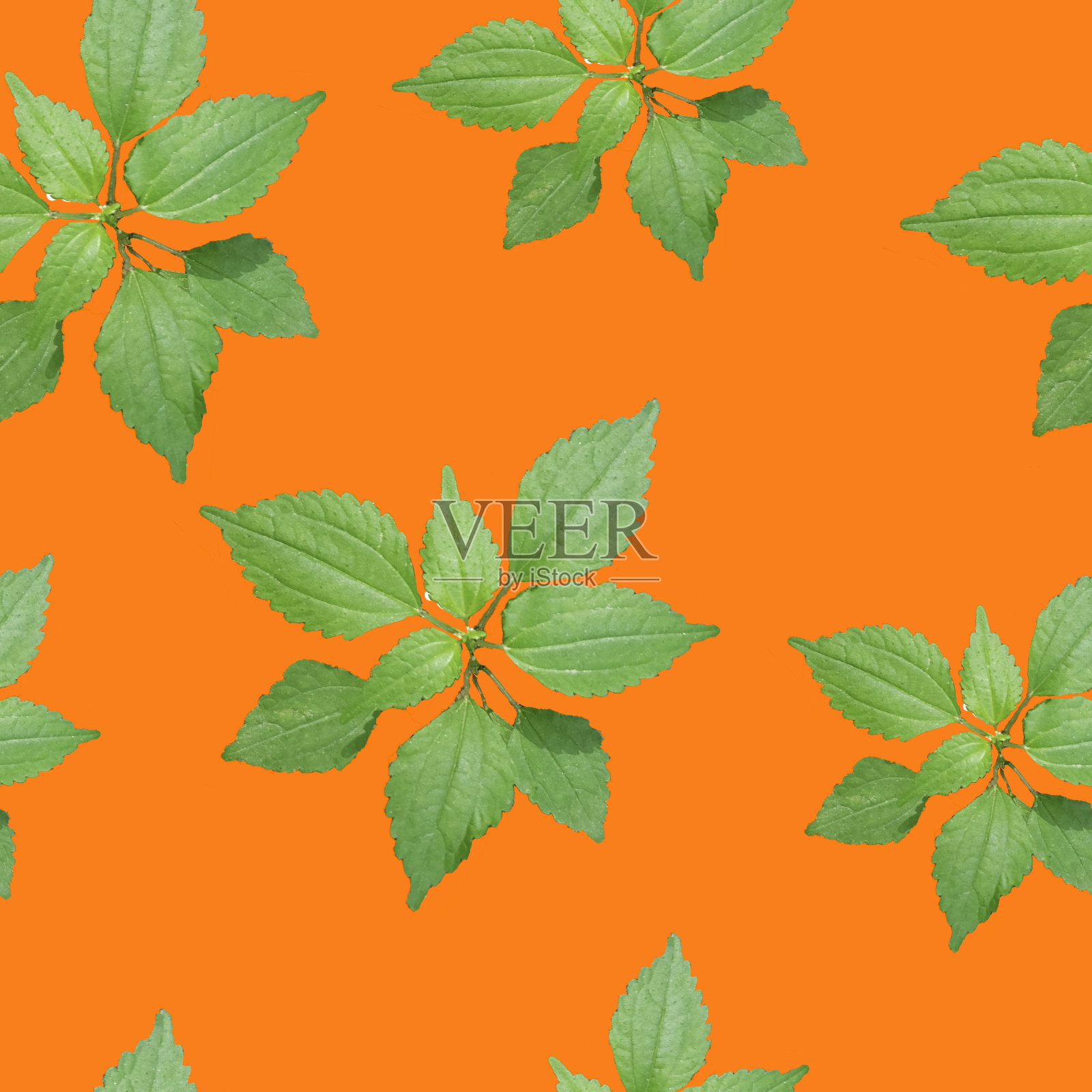 绿色树叶在鲜艳的橙色背景无缝图案插画图片素材