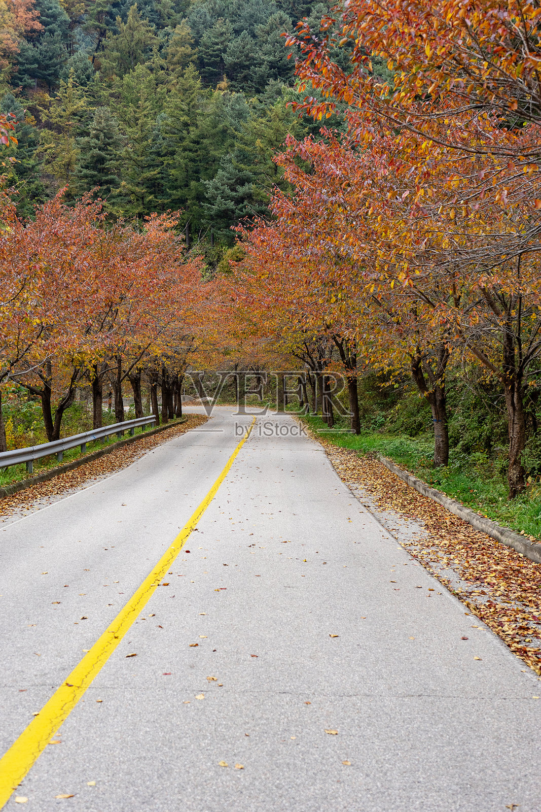 秋天照片摄影图片