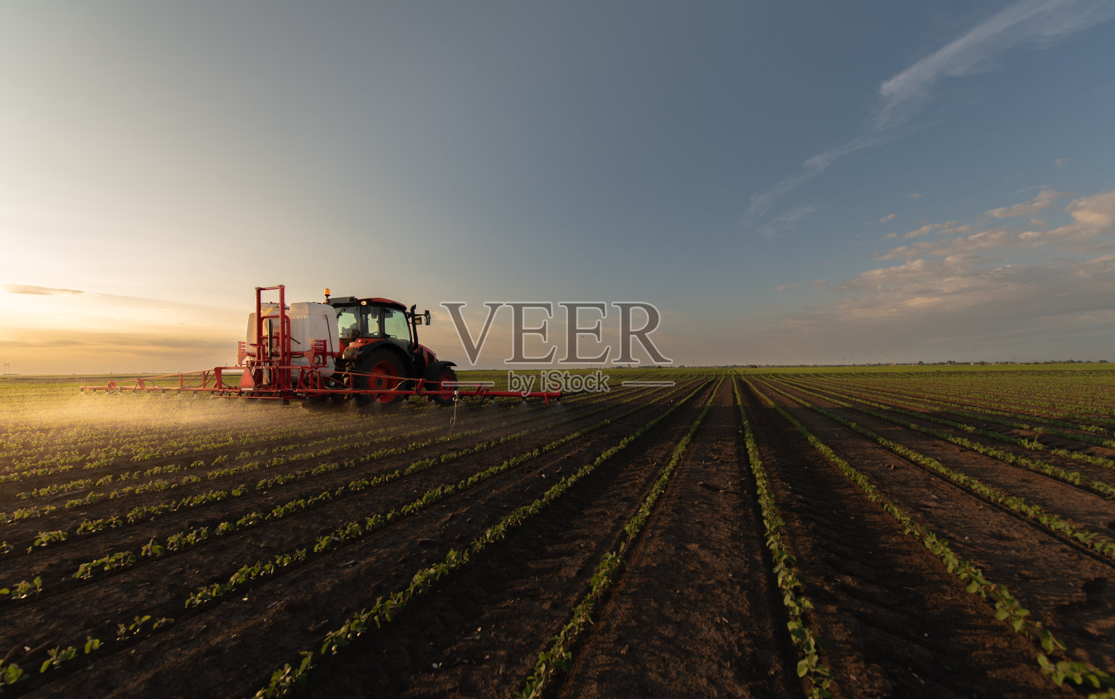 拖拉机喷洒大豆作物田地照片摄影图片