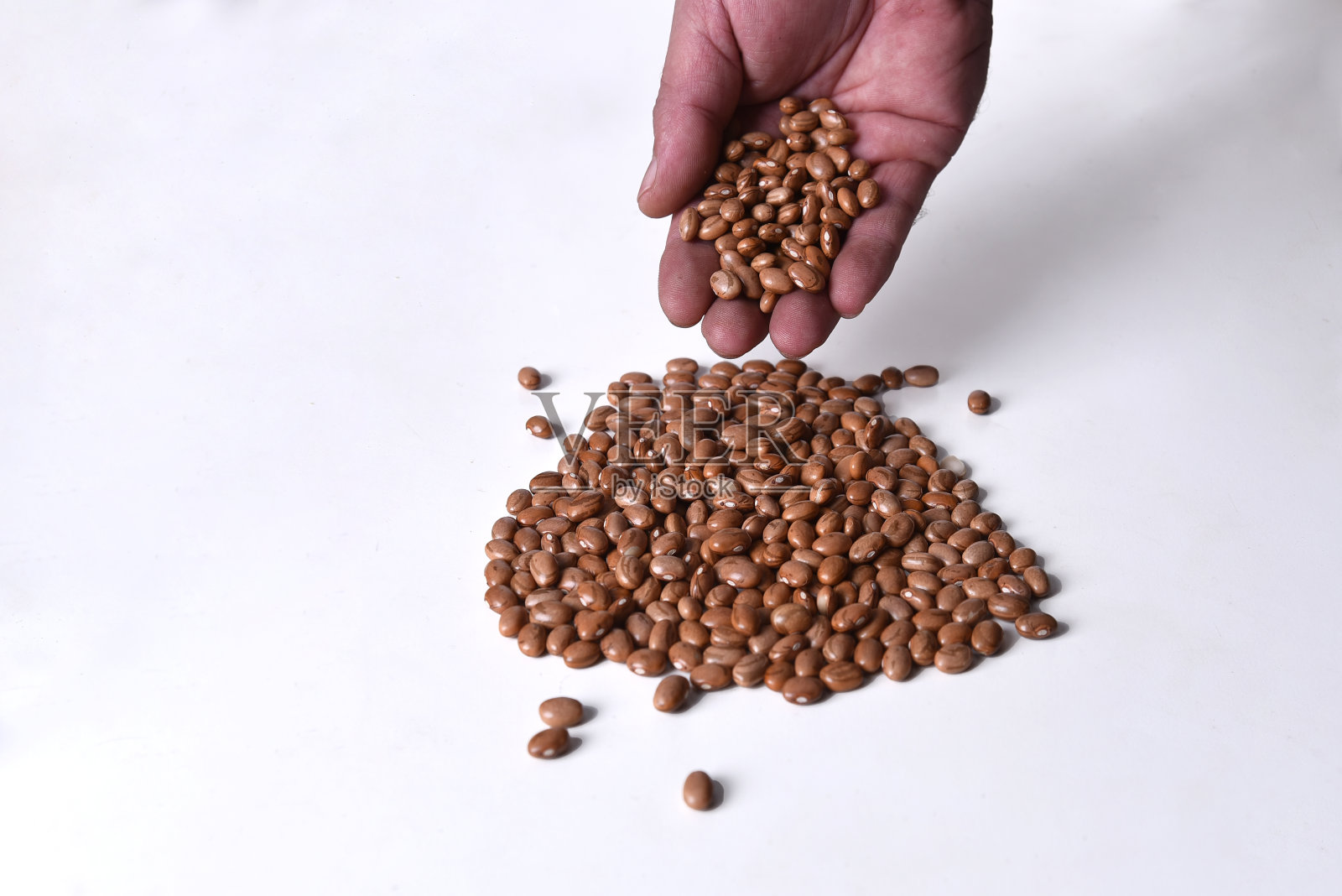 生豆粒种子用于食品，天然健康食品种子用于种植照片摄影图片