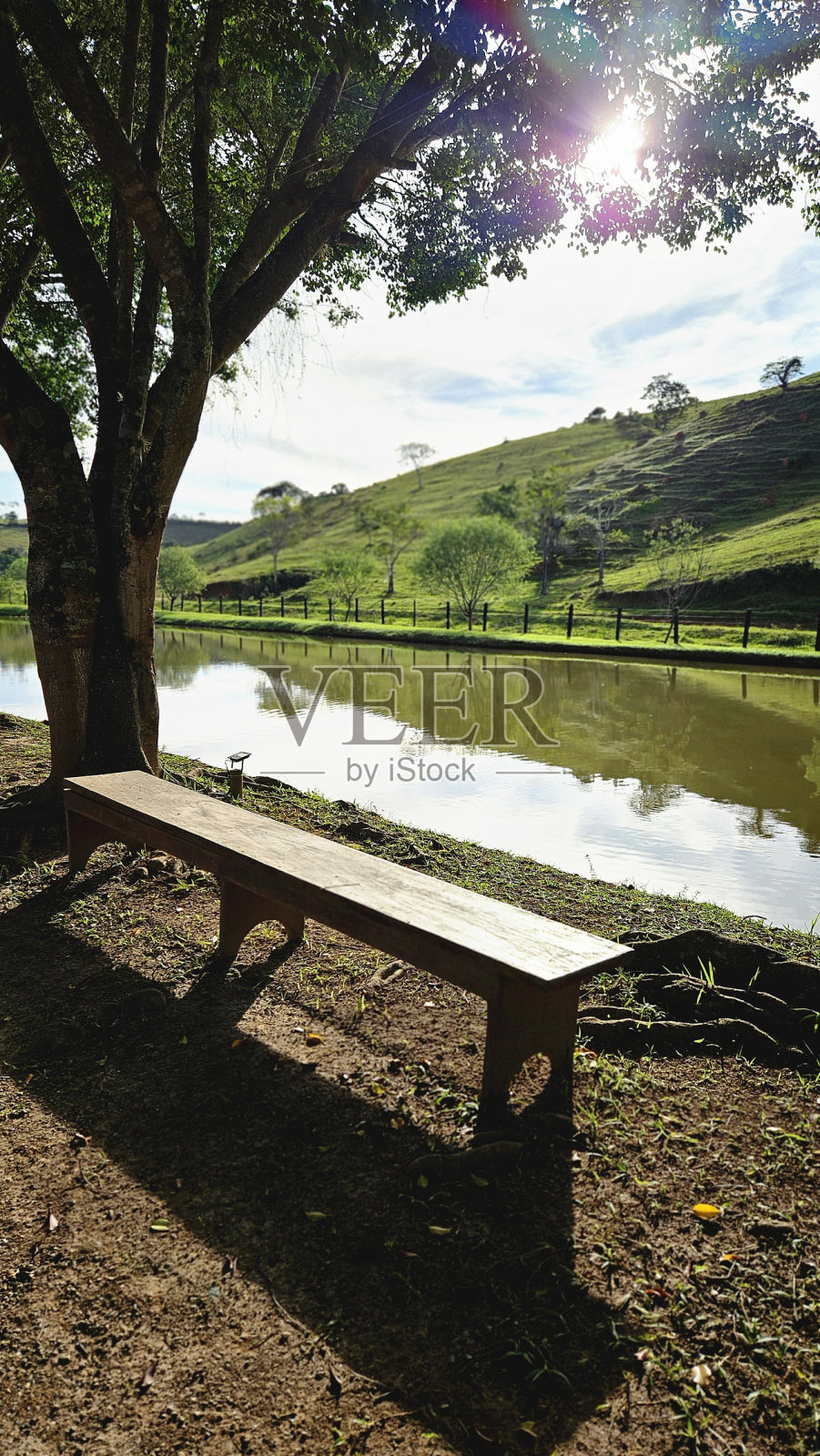 湖边的长椅照片摄影图片