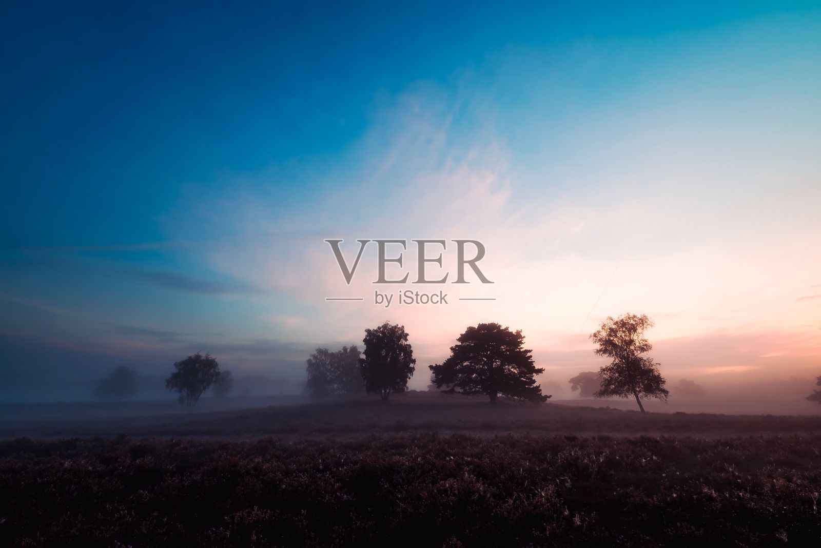 在雾蒙蒙的景色中，太阳正落在树后照片摄影图片