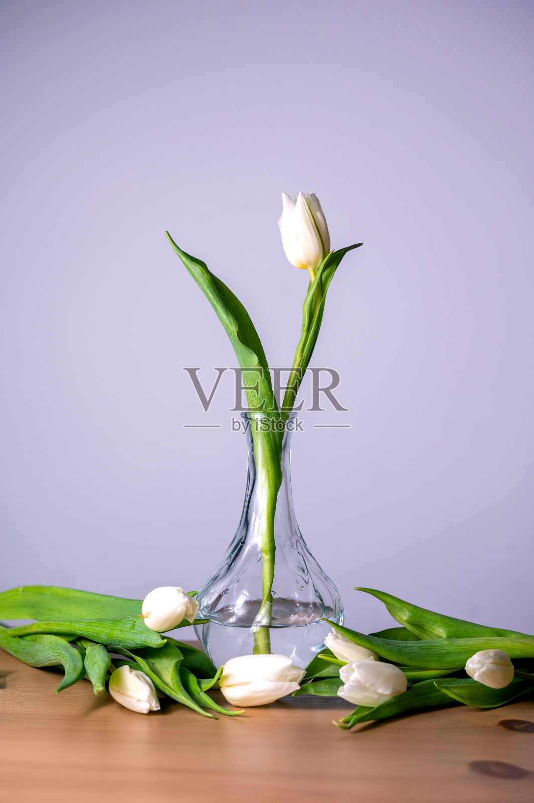 一朵郁金香在玻璃花瓶里，一些郁金香在桌子上照片摄影图片