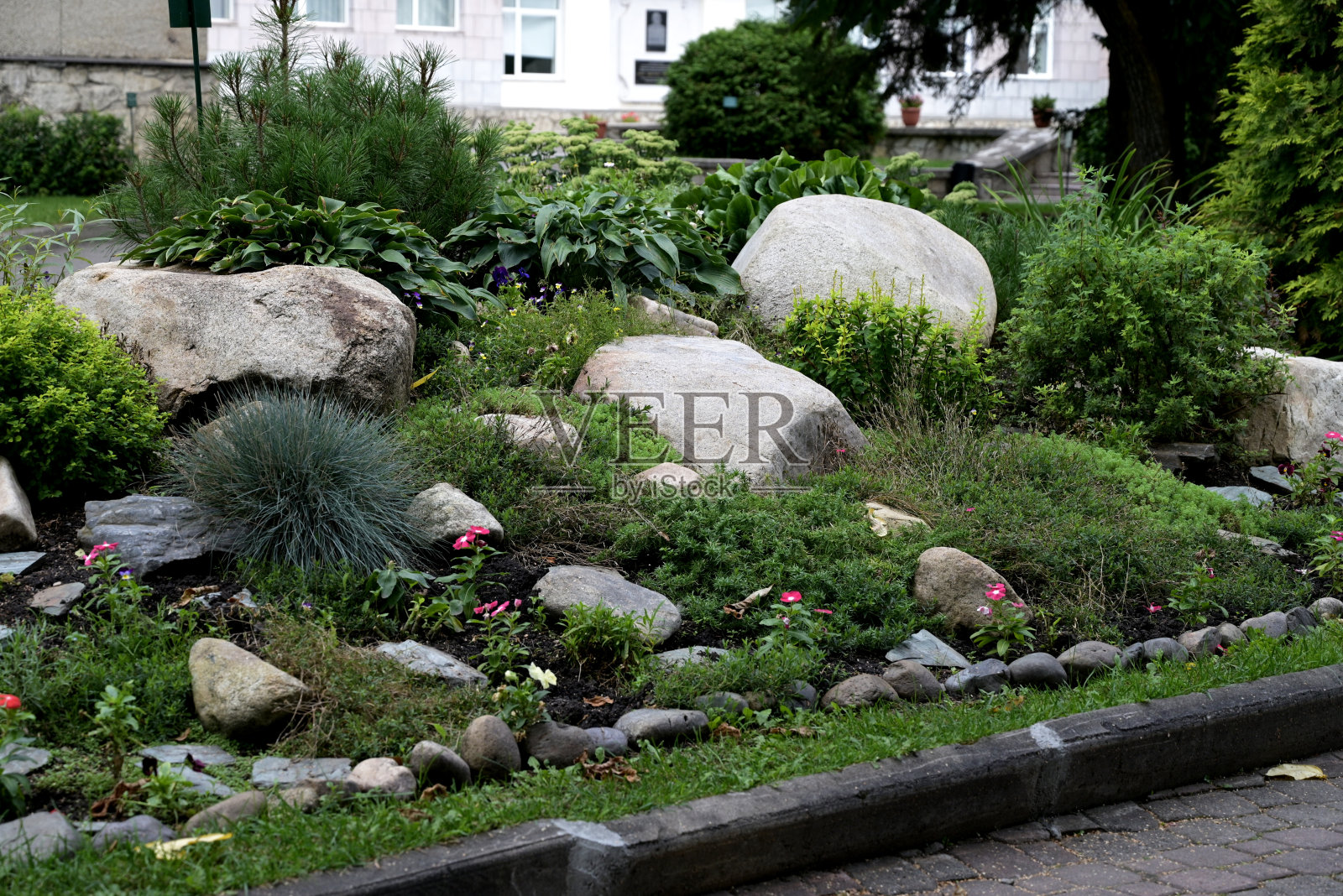 美丽的正式花园与用餐的地方，桌子tandoor板凳上的白色绣球丛的背景照片摄影图片