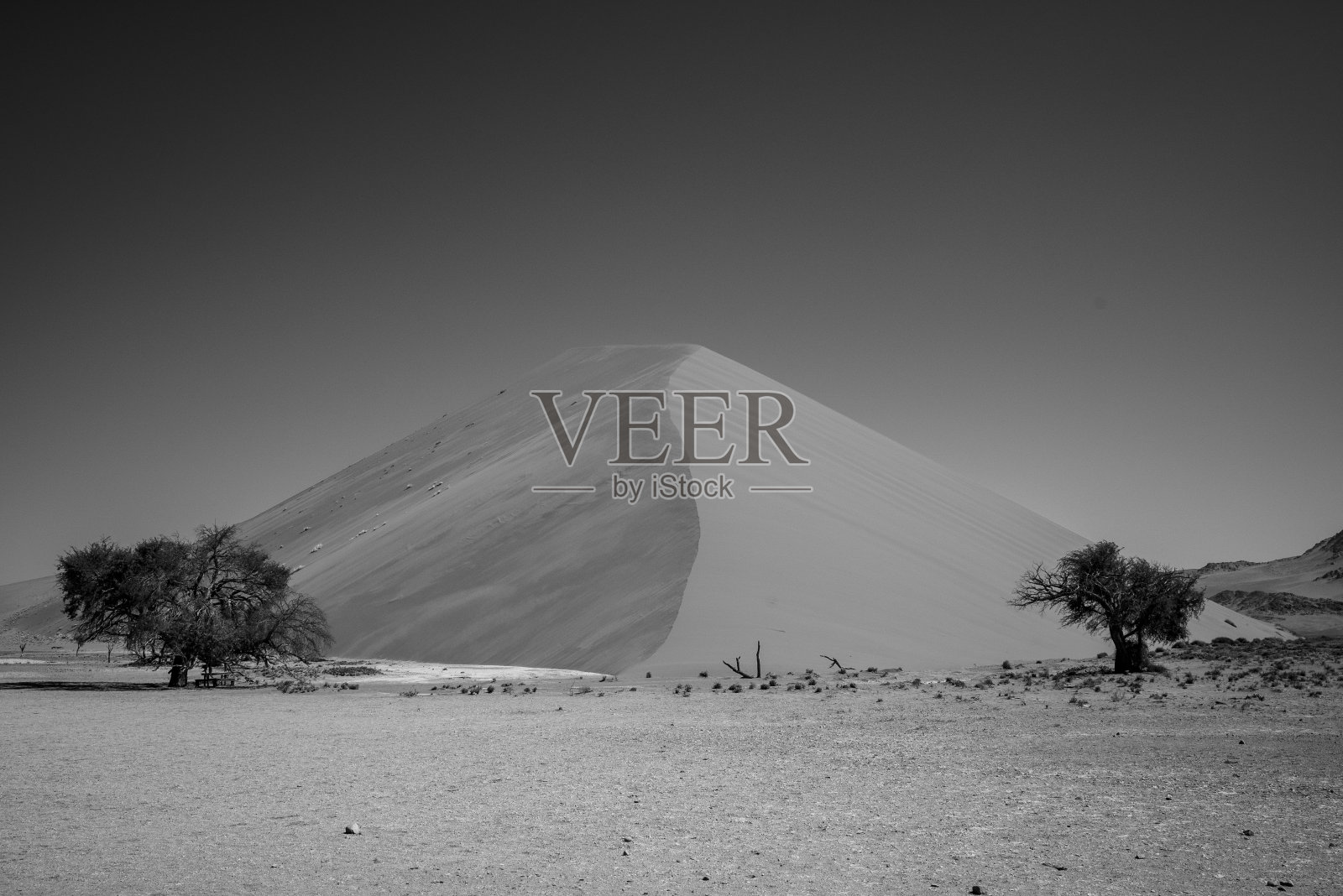 一个沙地沙丘的灰度视图与稀疏的植物生长。照片摄影图片