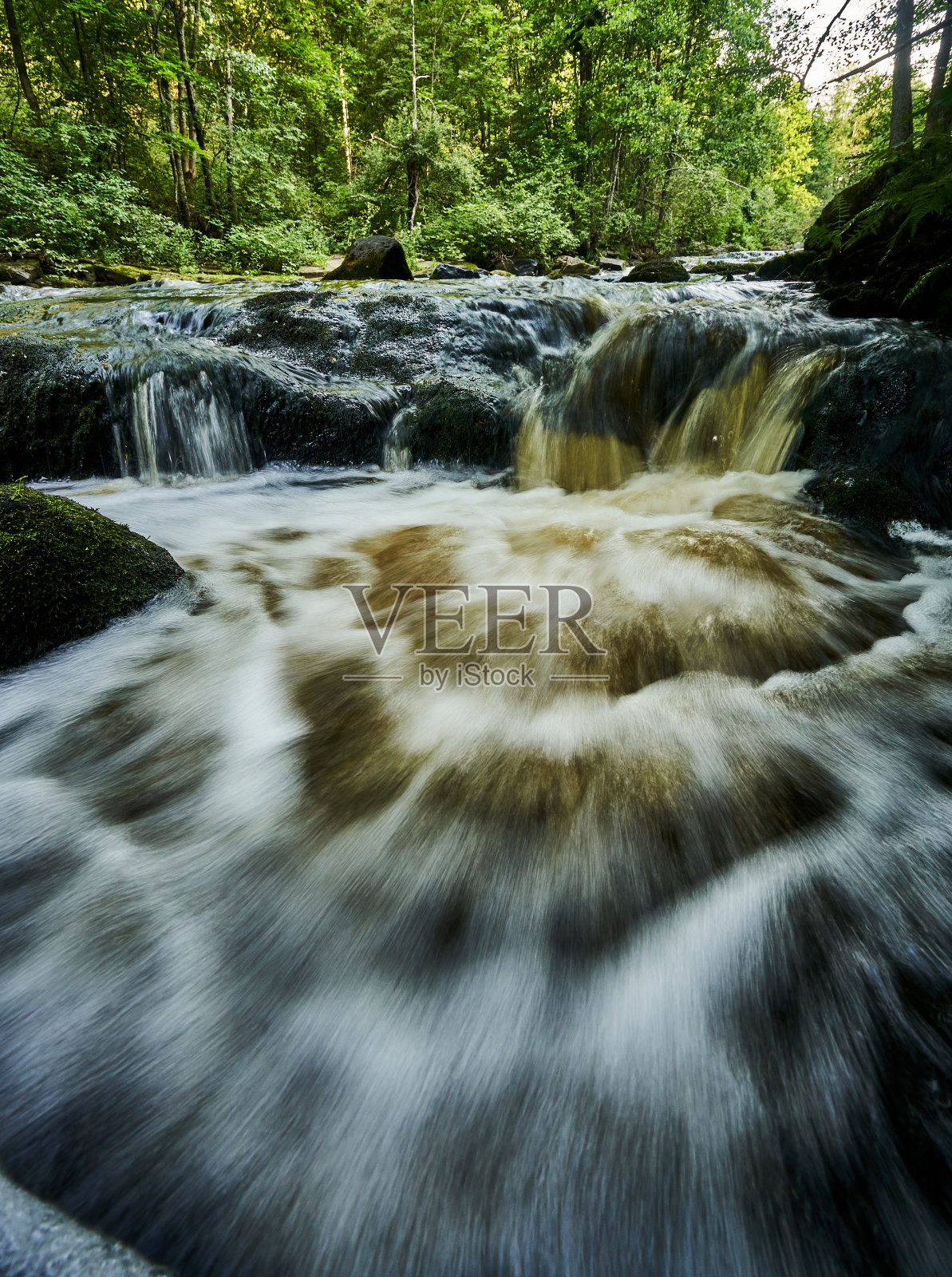 一条河流流经树木和岩石茂密的森林的风景照片摄影图片