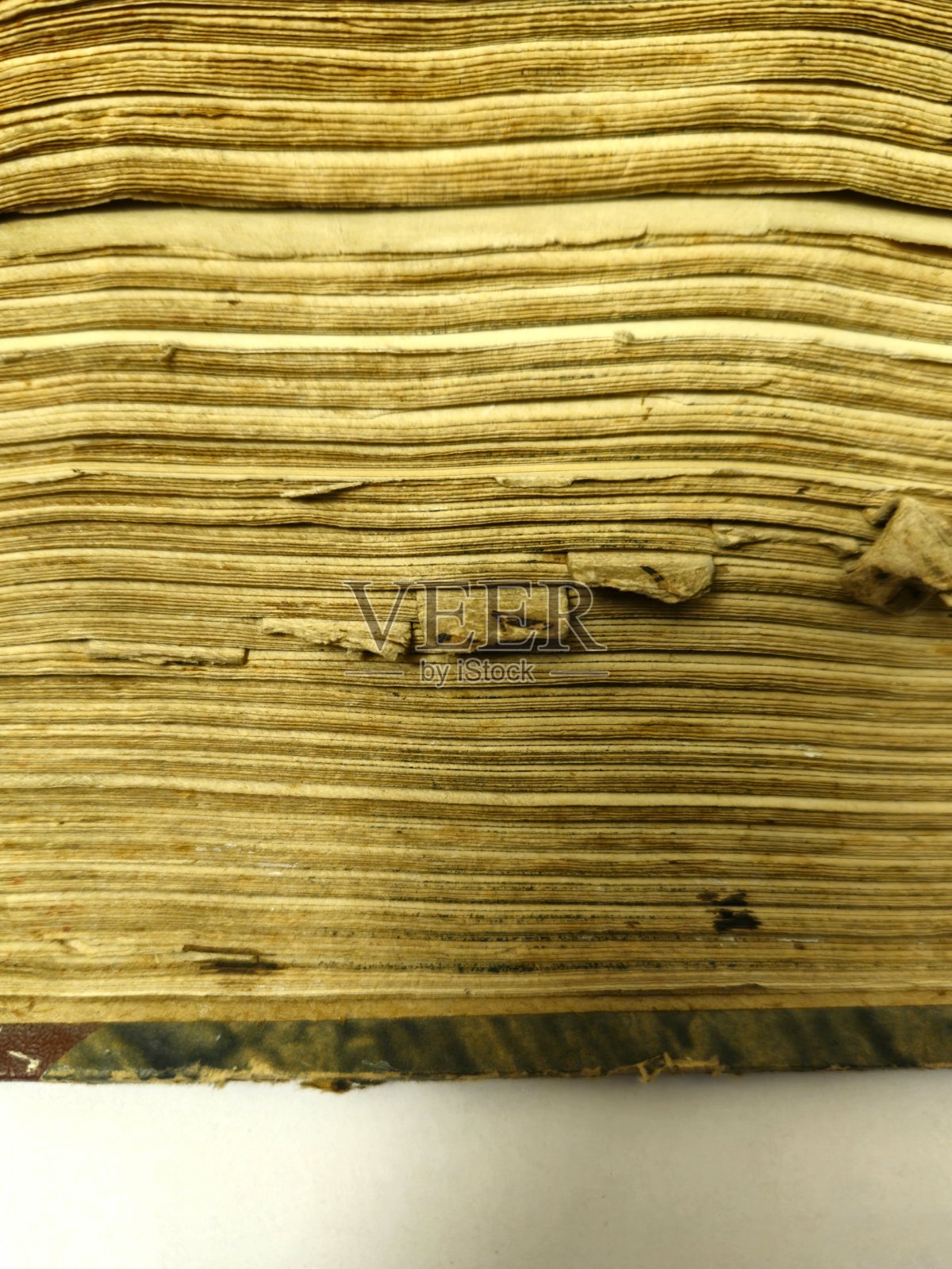 旧书页的垂直特写照片摄影图片