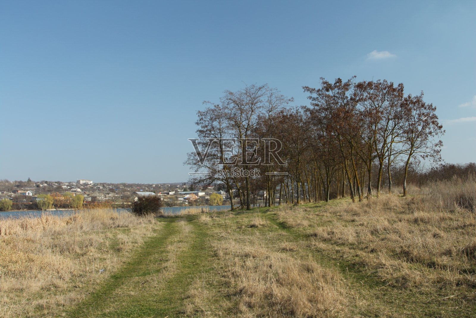 以树木和建筑物为背景的草地照片摄影图片
