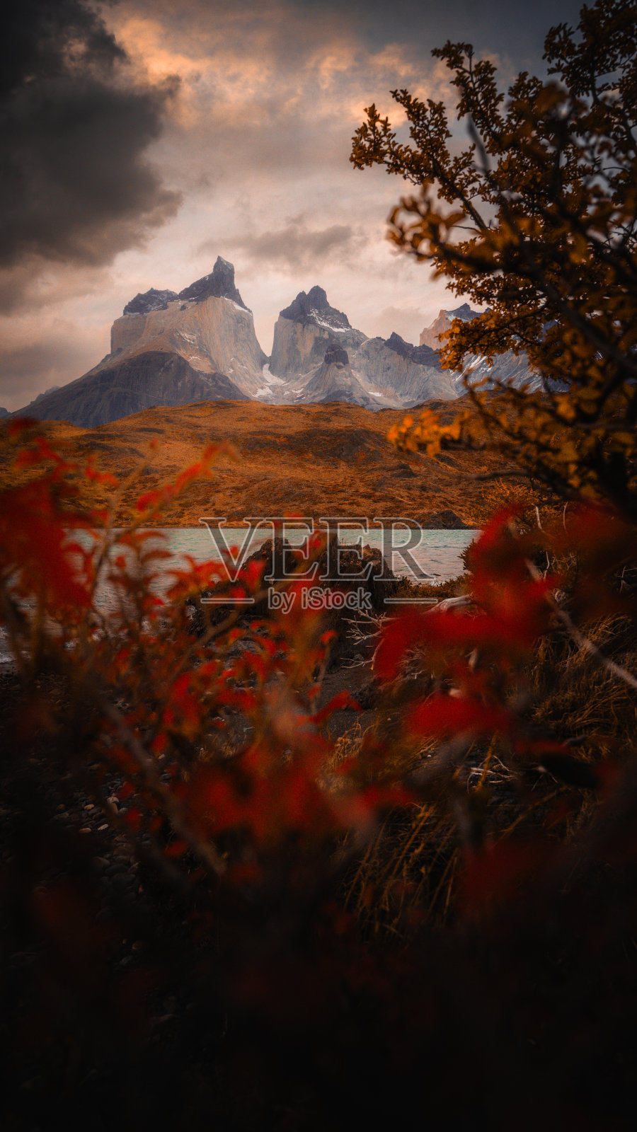 智利巴塔哥尼亚托雷斯德尔潘恩国家公园的风景照片摄影图片