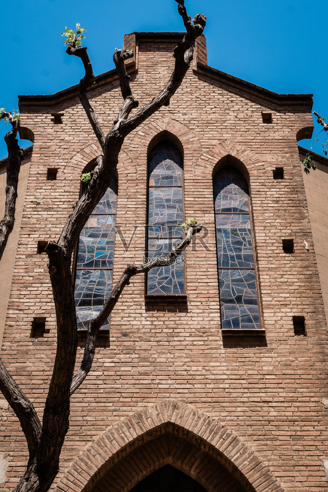 哥特式砖砌教堂，光秃秃的树，在冬天晴朗的蓝天下照片摄影图片