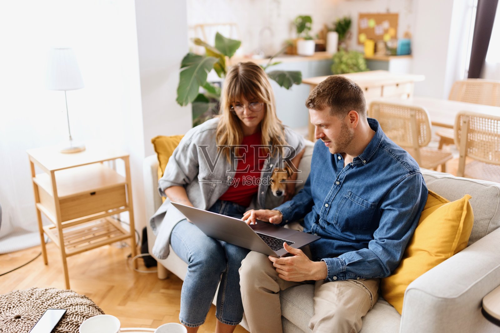 漂亮的夫妇在网上购物照片摄影图片