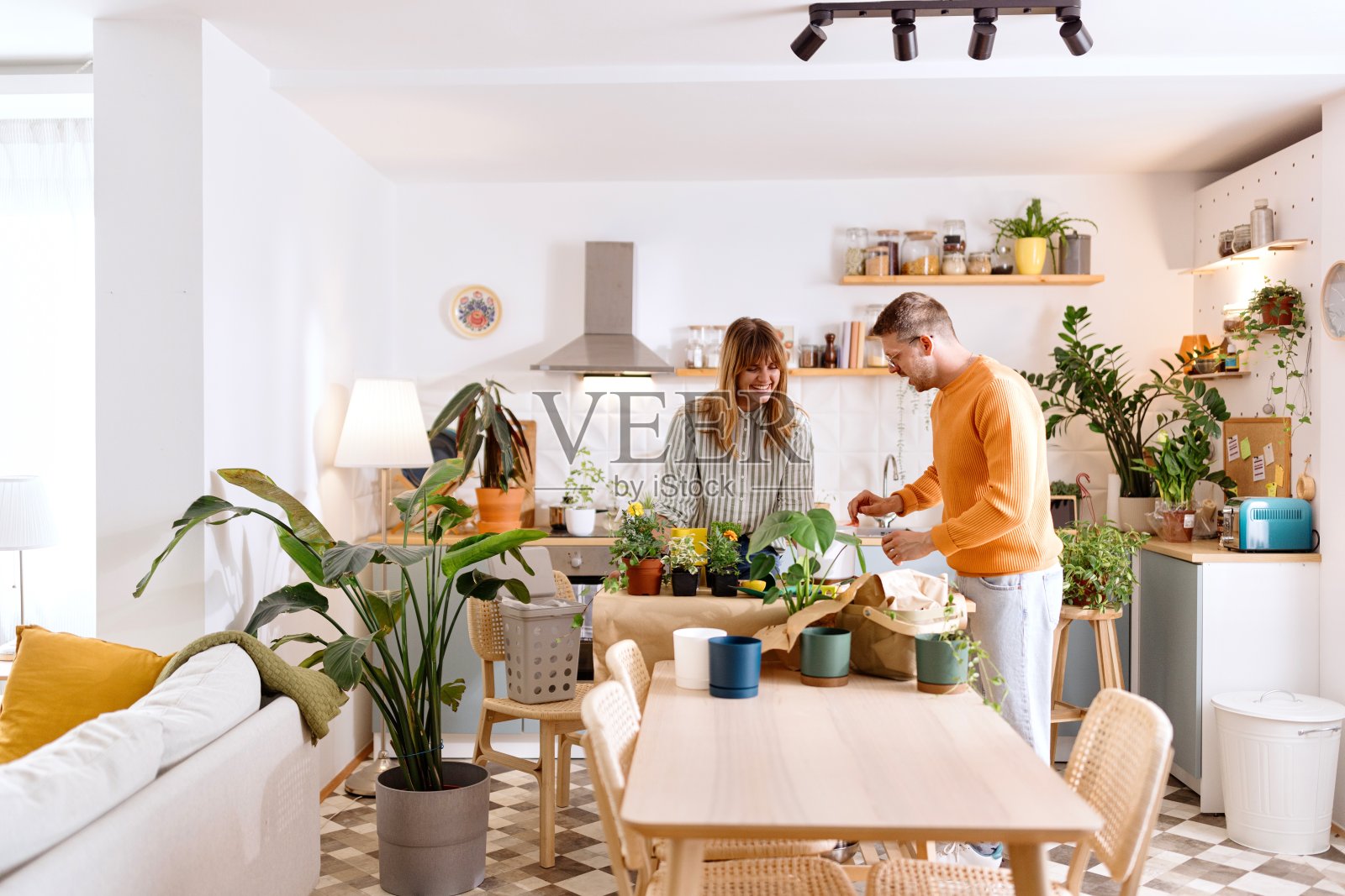 把自然带回家照片摄影图片