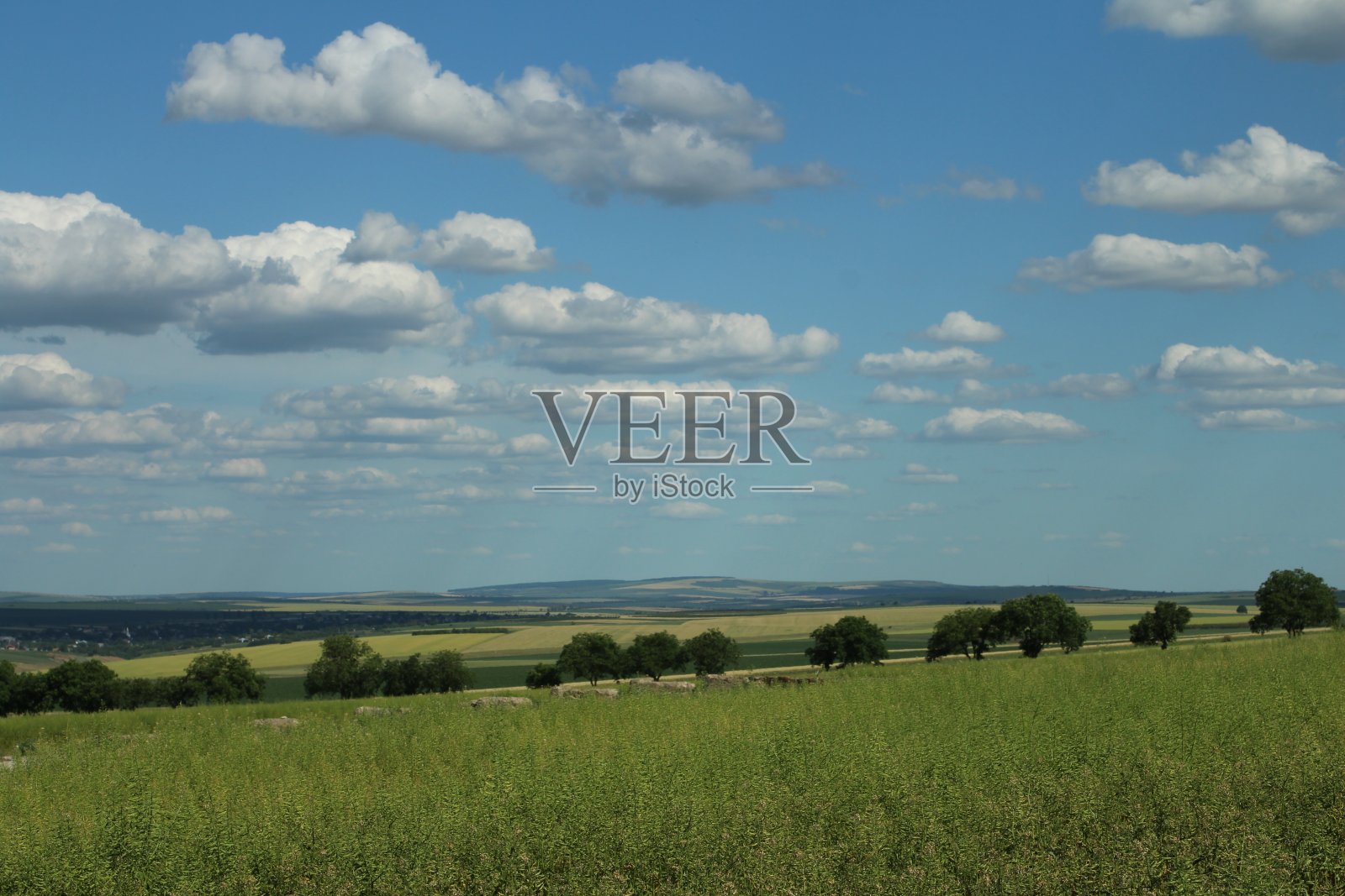 一片绿树成荫的草地和蓝天照片摄影图片