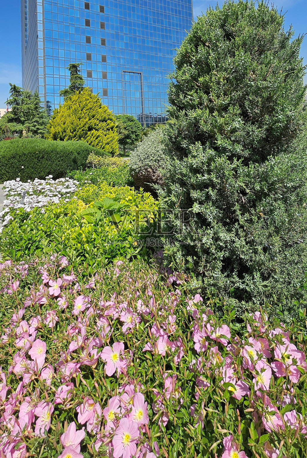 城市景观，前景是美丽的花园照片摄影图片