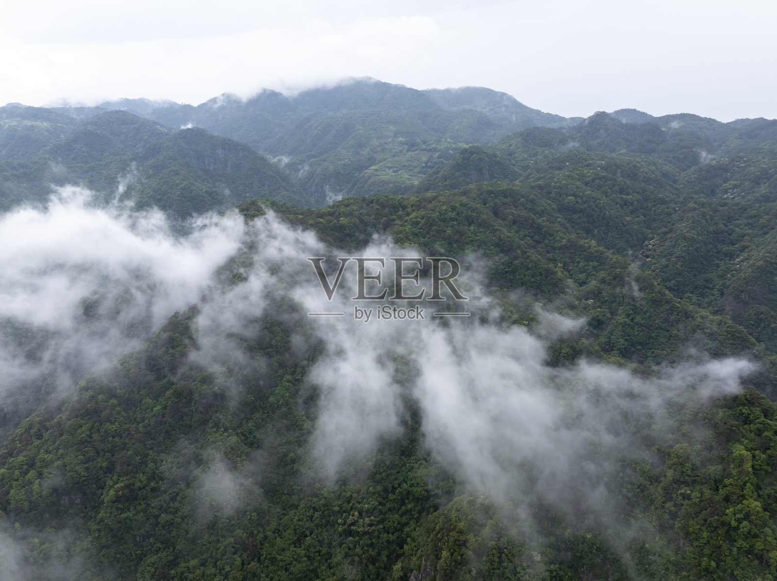 雨后的云雾笼罩着山顶的森林照片摄影图片
