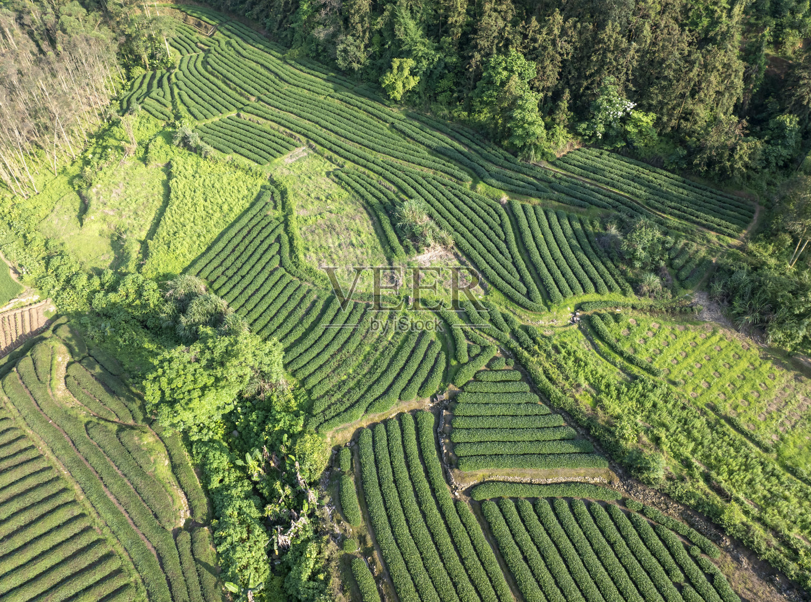 茶山梯田的航空摄影照片摄影图片