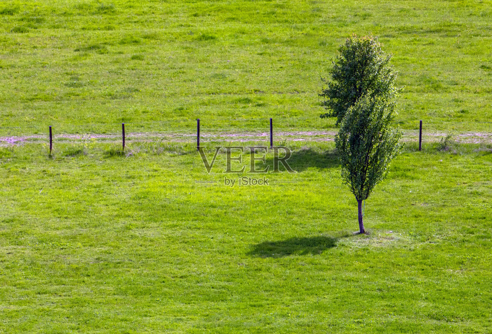 乡村景观中有篱笆、绿草如茵、绿树成荫的乡村照片摄影图片
