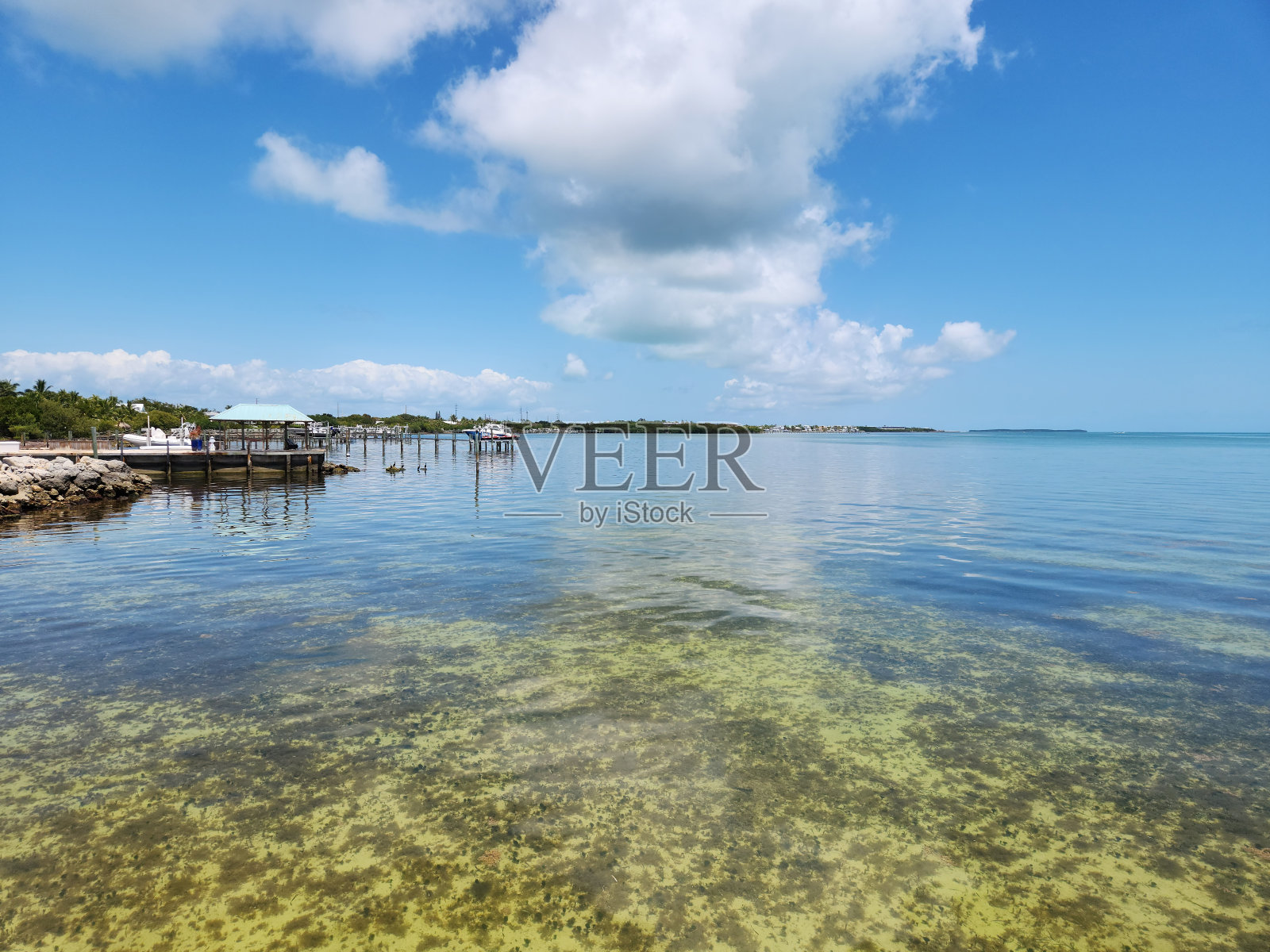海滨住宅和码头在Tavernier Key，佛罗里达州在平静的晴天。照片摄影图片