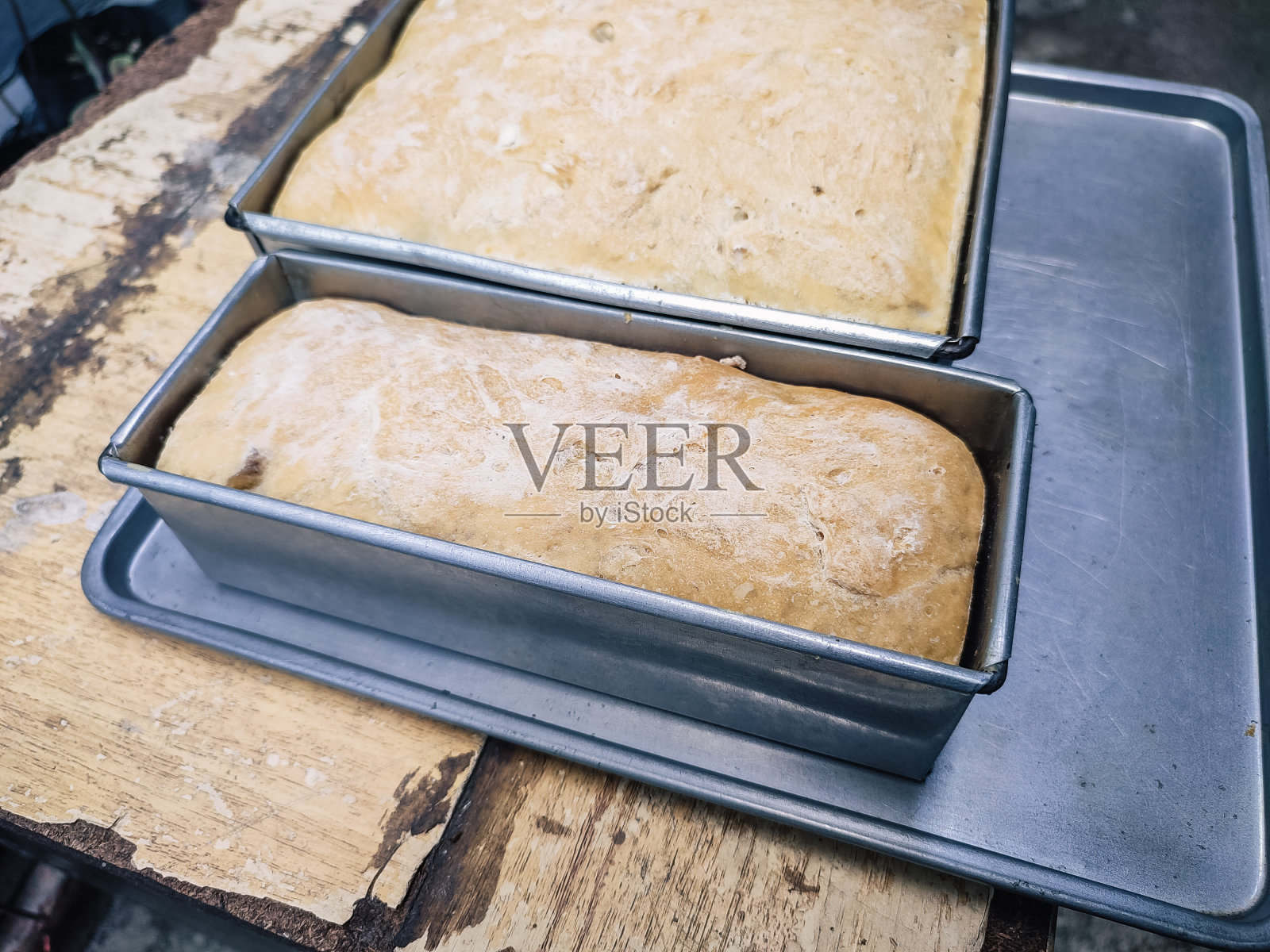 新鲜出炉的圆面包照片摄影图片