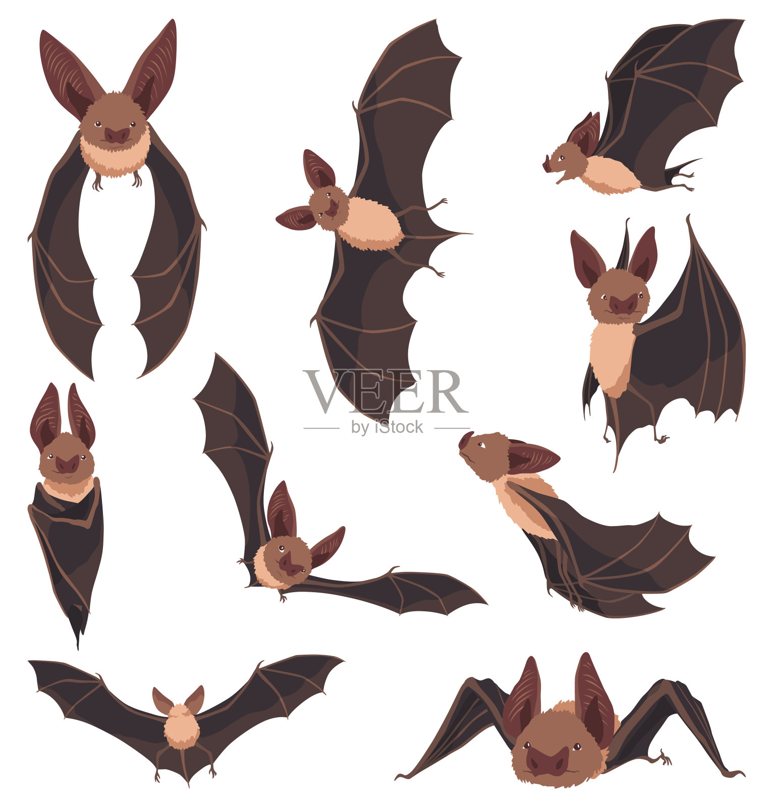 飞行蝙蝠的集合。不同姿势的概念卡通蝙蝠。元素集。矢量剪贴画插图孤立在白色背景上插画图片素材