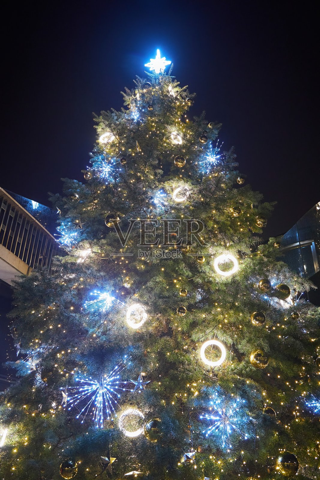 9的圣诞树。一天中的夜晚。照片摄影图片