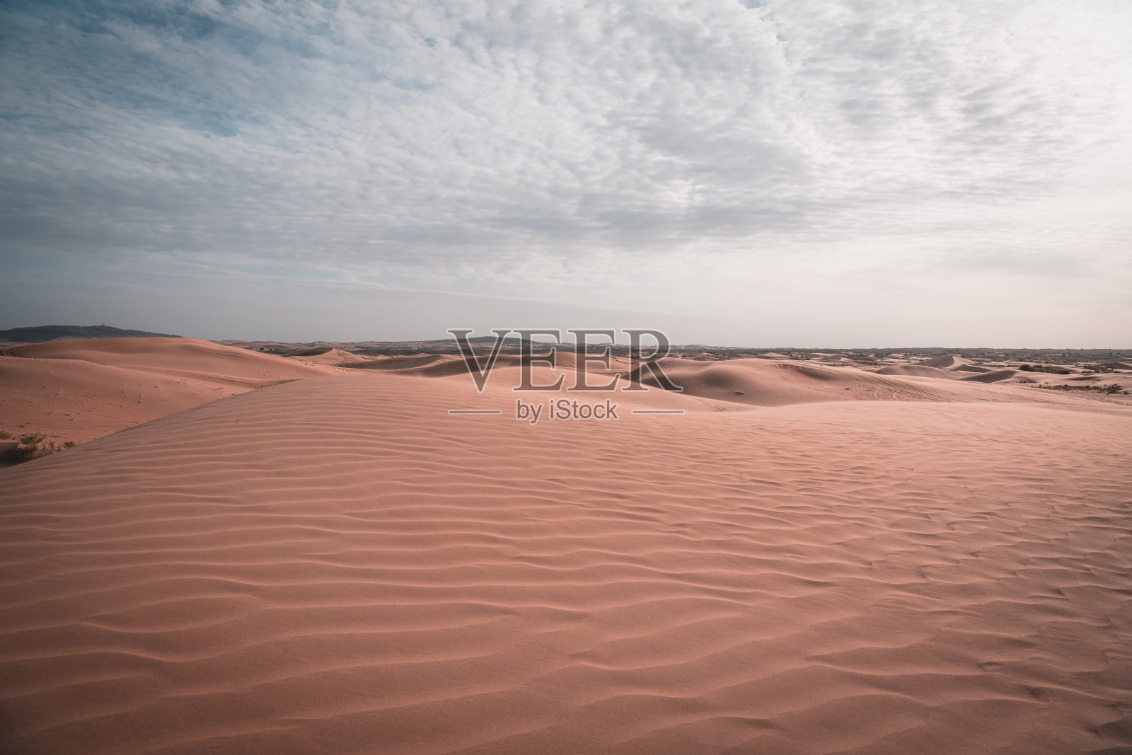 内蒙古巴丹吉林沙漠的沙丘曲线特写照片摄影图片