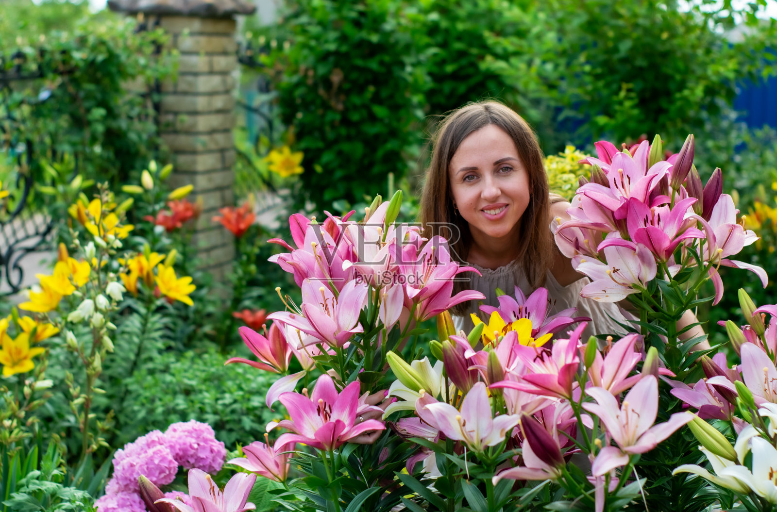 一个女人在花园里欣赏美丽的百合花。照片摄影图片
