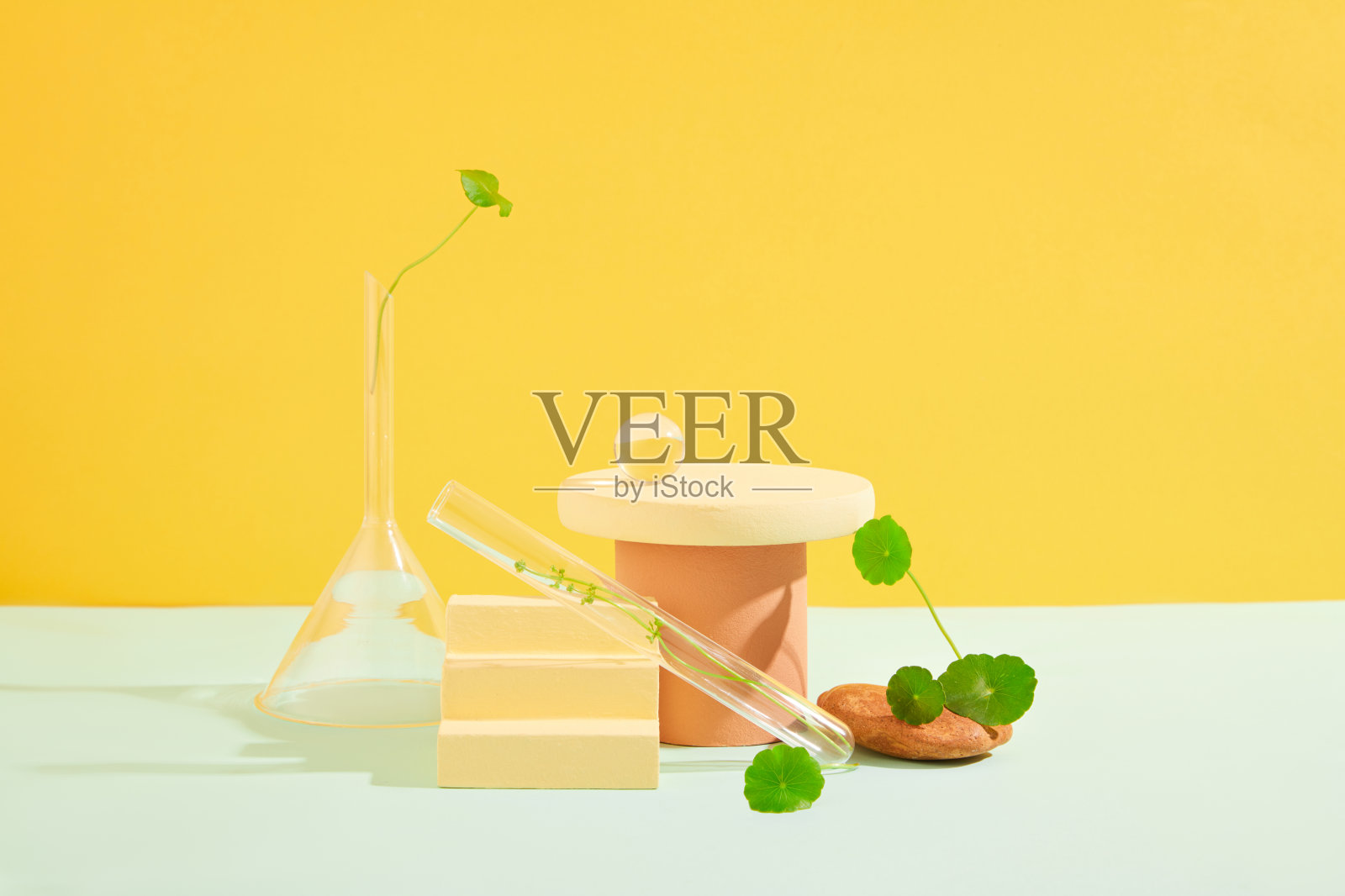 玻璃器皿、木制平台和新鲜的草叶在黄白色的背景上展示。在精致的空间展示化妆品。积雪草提取物。照片摄影图片