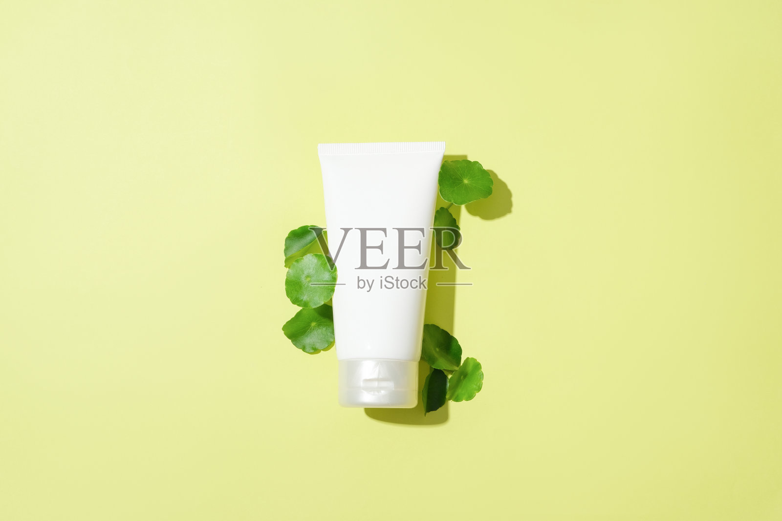 一个化妆管点缀着绿色的草叶在柔和的背景。积雪草提取物有助于保持皮肤水分照片摄影图片