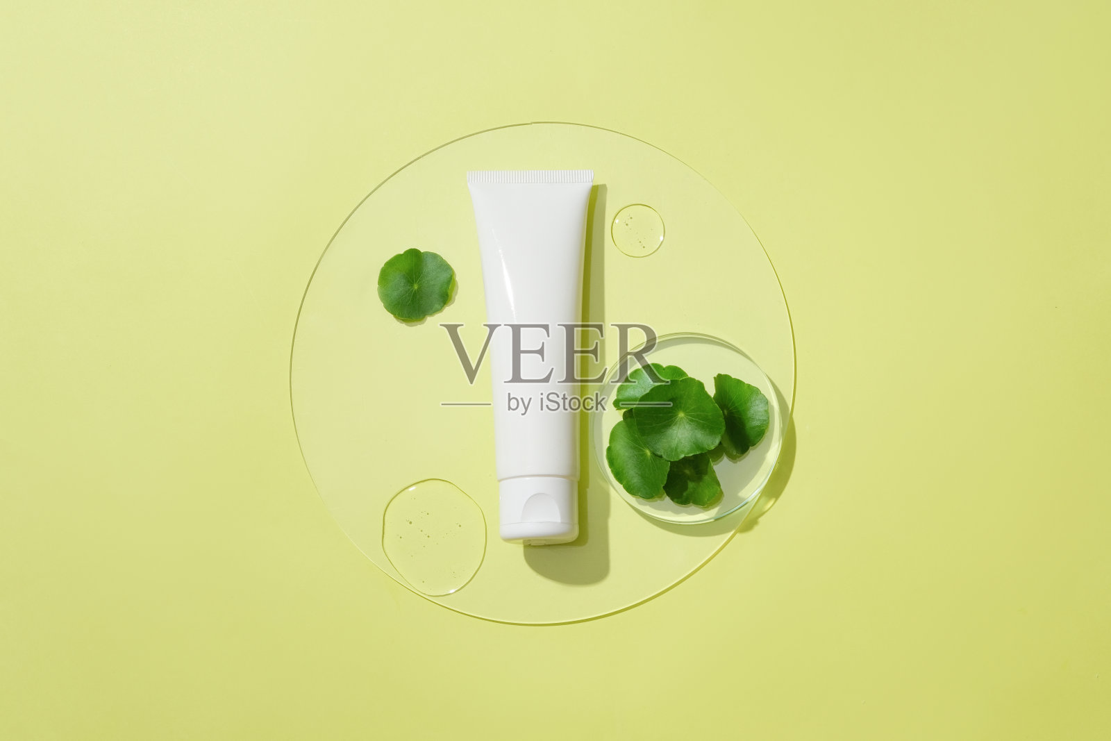 一个塑料管，新鲜的草叶和两滴在一个圆形的玻璃平台上。积雪草有助于愈合伤口，减少疤痕的出现。化妆品的概念。照片摄影图片