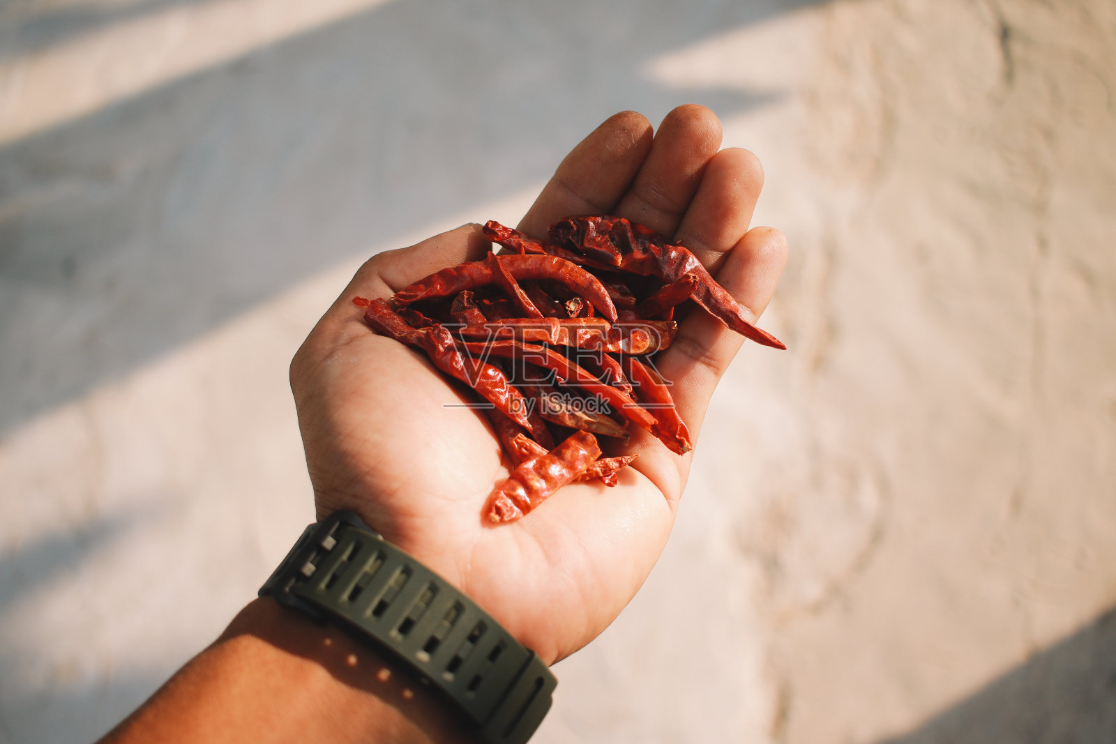 泰国干辣椒照片摄影图片