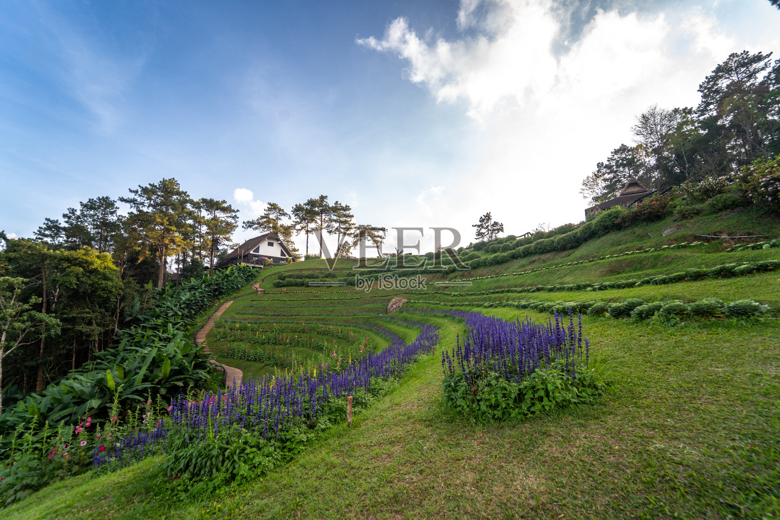 景观和旅游的概念，花和多云的天空与山层的背景照片摄影图片