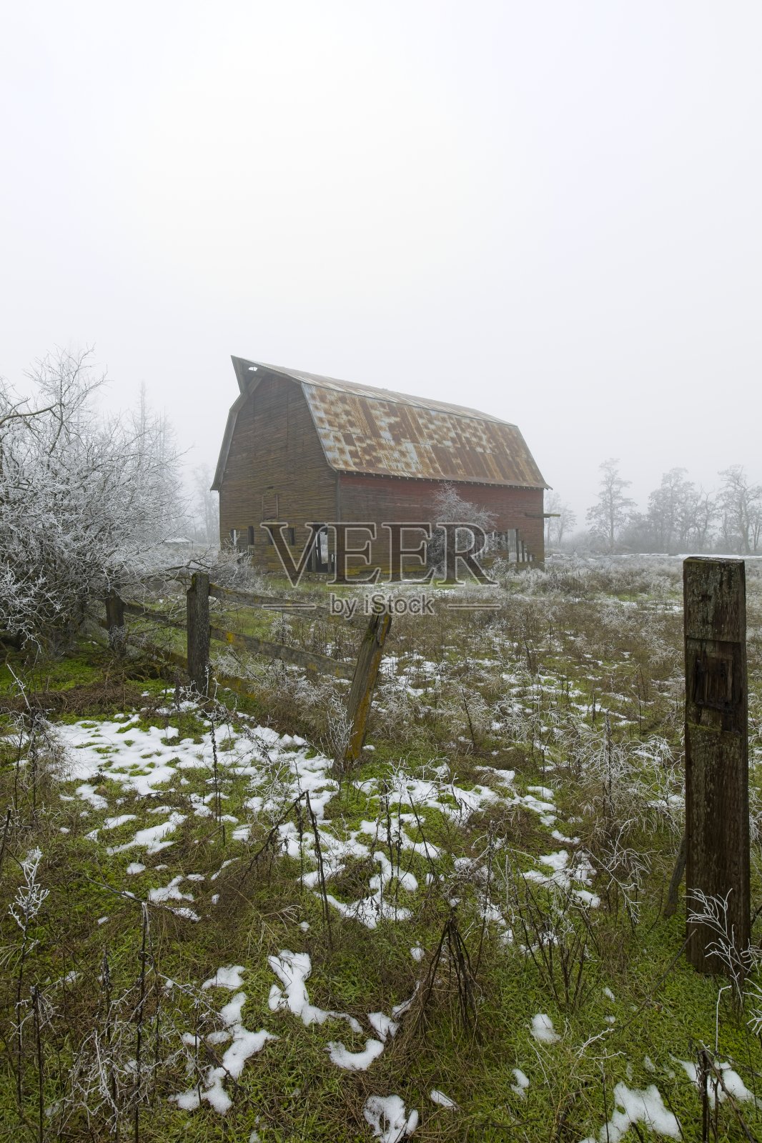 多雾的天气里有谷仓和小雪。照片摄影图片