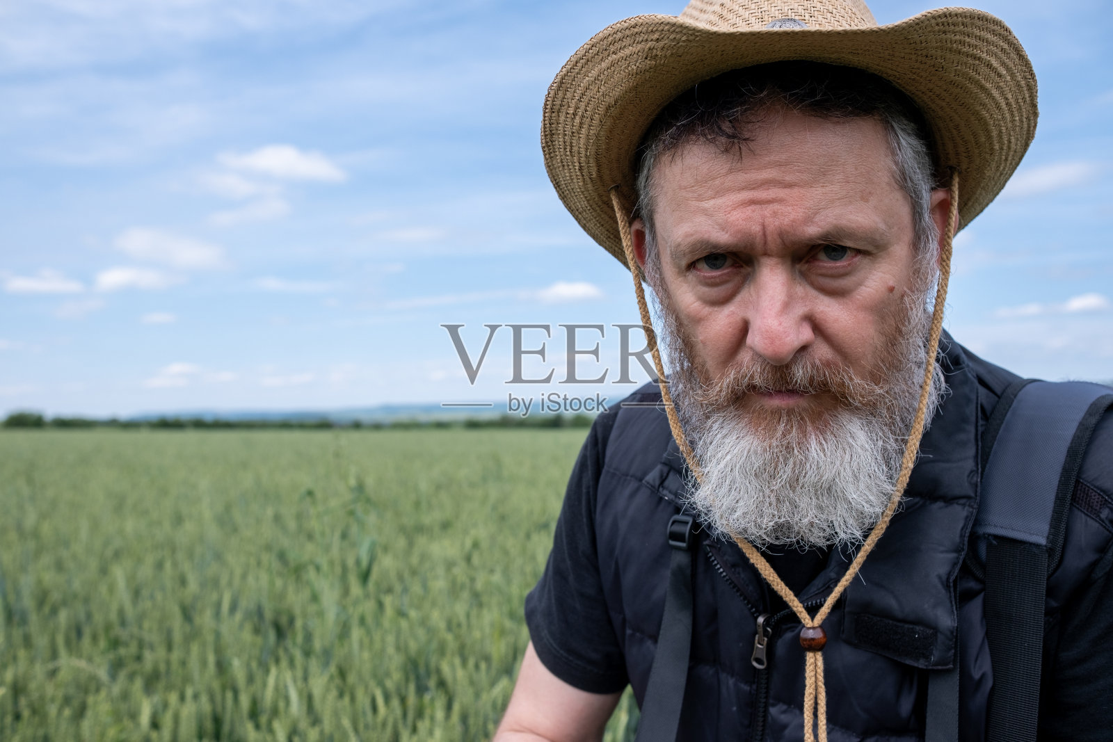 麦田里的农夫。照片摄影图片