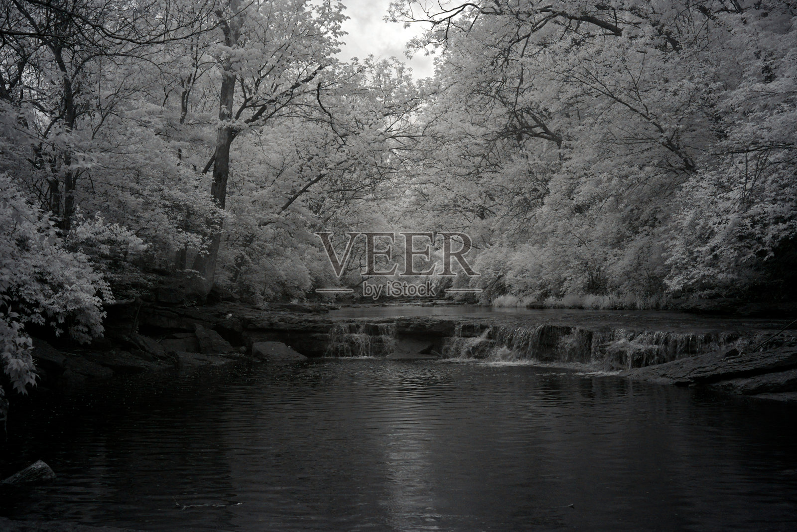 小溪流经森林的画面照片摄影图片