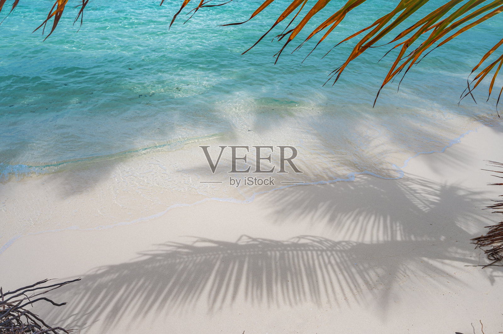 绿松石海边的热带海滩上，棕榈叶的影子照片摄影图片