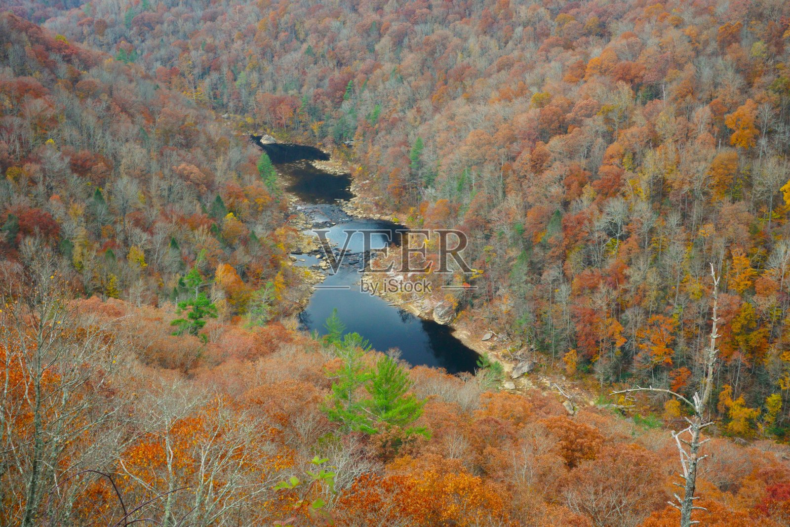 肯塔基州和田纳西州大南福克国家娱乐区的秋天色彩照片摄影图片