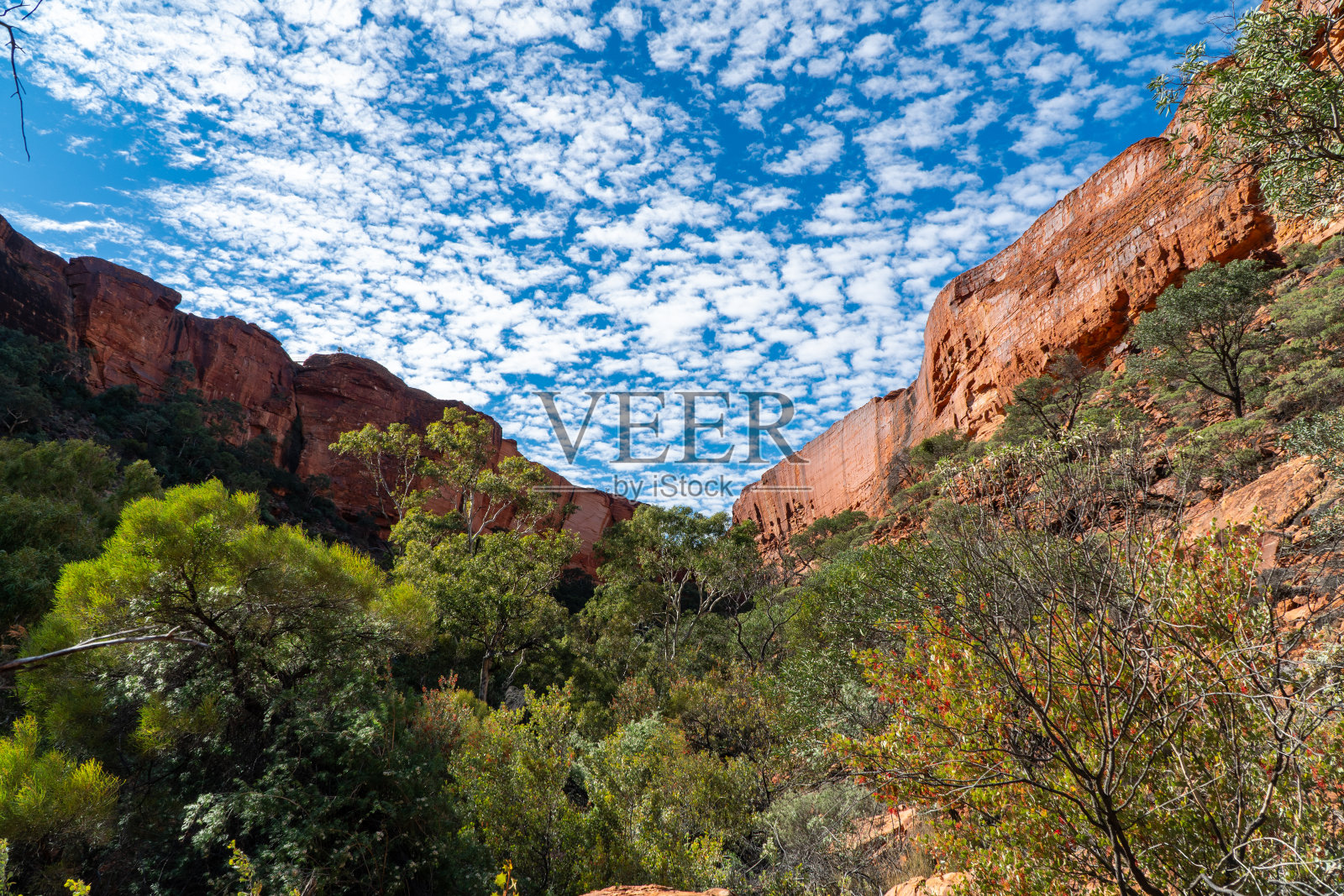 国王溪步道，国王峡谷/ Watarrka，北领地，澳大利亚照片摄影图片